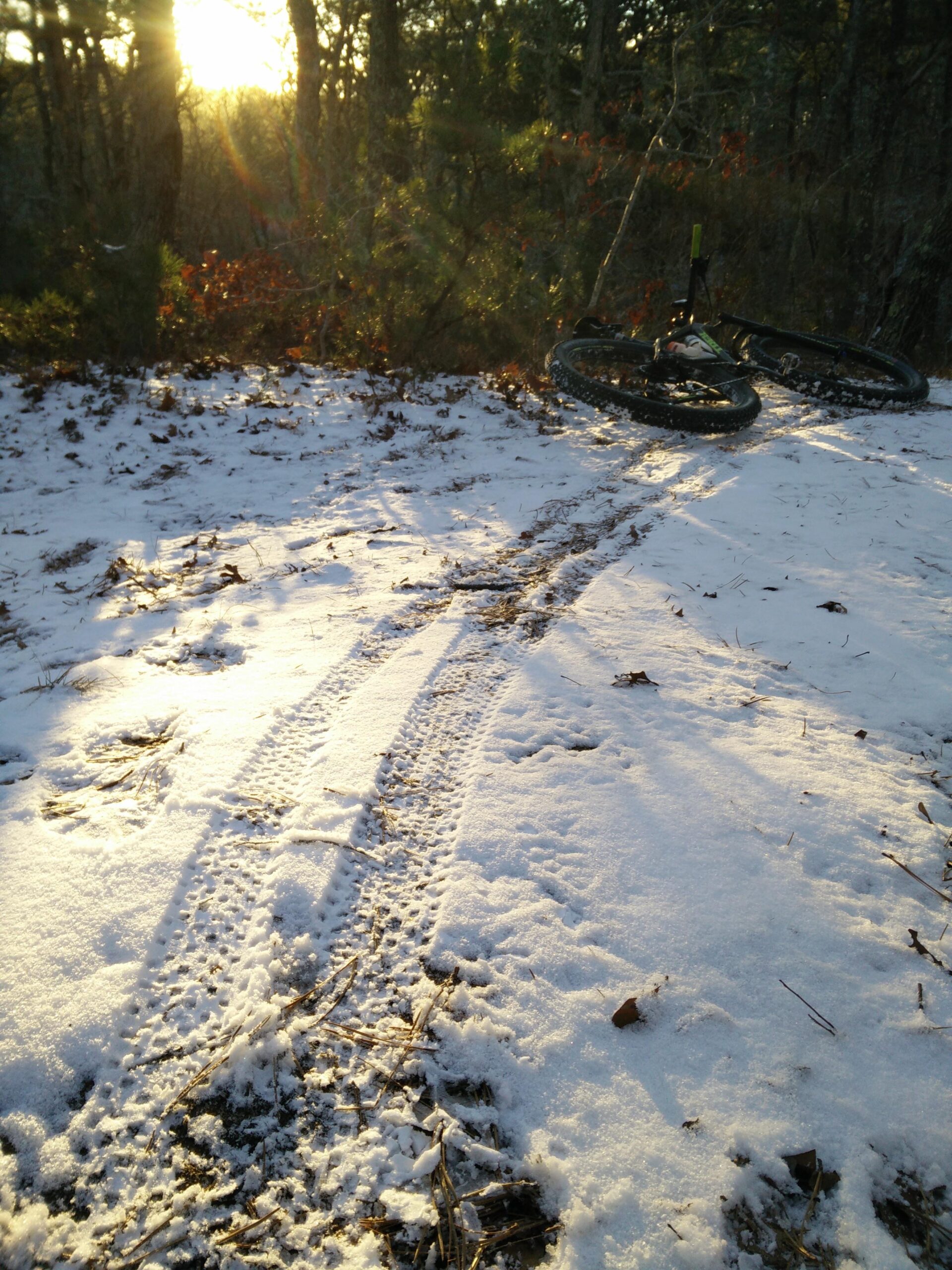 Trek Stache 9 29 Plus: A sunlight-drenched forest path covered in a layer of snow, with distinct tire tracks leading through the snow. A bicycle lies on its side in the foreground, partially obscured by the snow and surrounding foliage. The warm light of the setting sun filters through the trees, creating a serene winter scene.