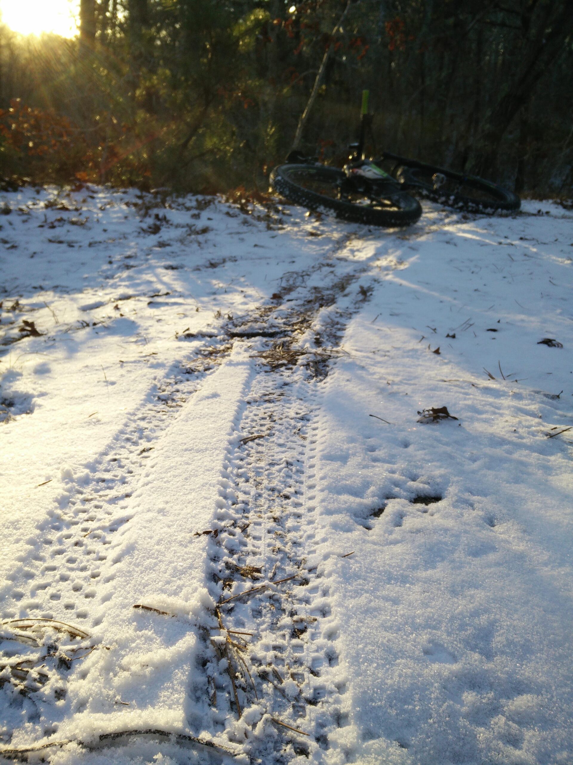 Trek Stache 9 29 Plus: Tire tracks in snow leading through a sunlit forest path, with a bicycle partially visible in the background.