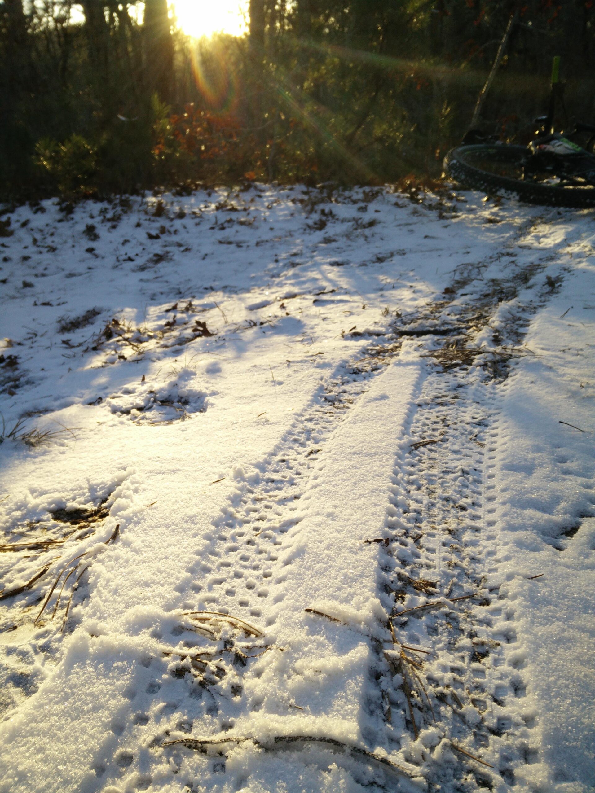 Trek Stache 9: A sunlit winter scene showcasing fresh tire tracks in the snow, with scattered leaves and a blurred background of trees. The warm glow of the setting sun casts light across the snowy ground, highlighting the texture of the snow and the details of the tire treads.