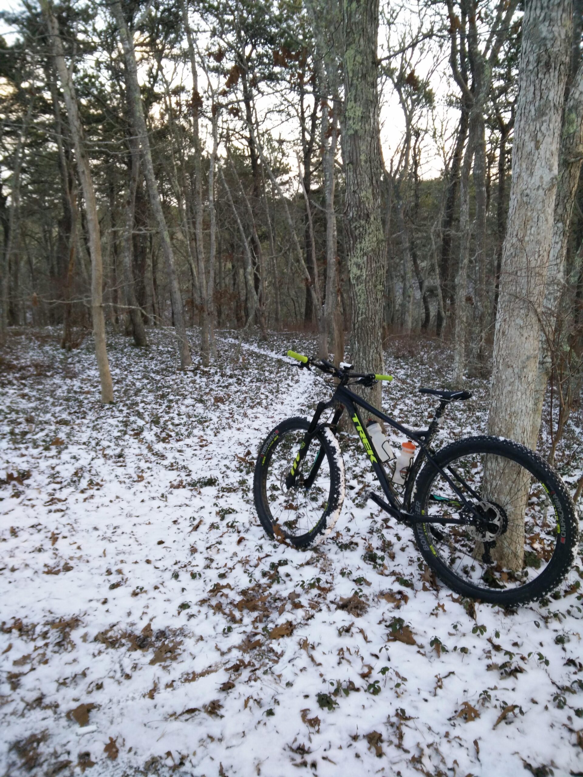 Trek Stache 9 29 Plus: A mountain bike parked beside a tree in a snowy, wooded area. The ground is covered with a mix of snow and fallen leaves, and the surrounding trees are bare, indicating winter conditions.