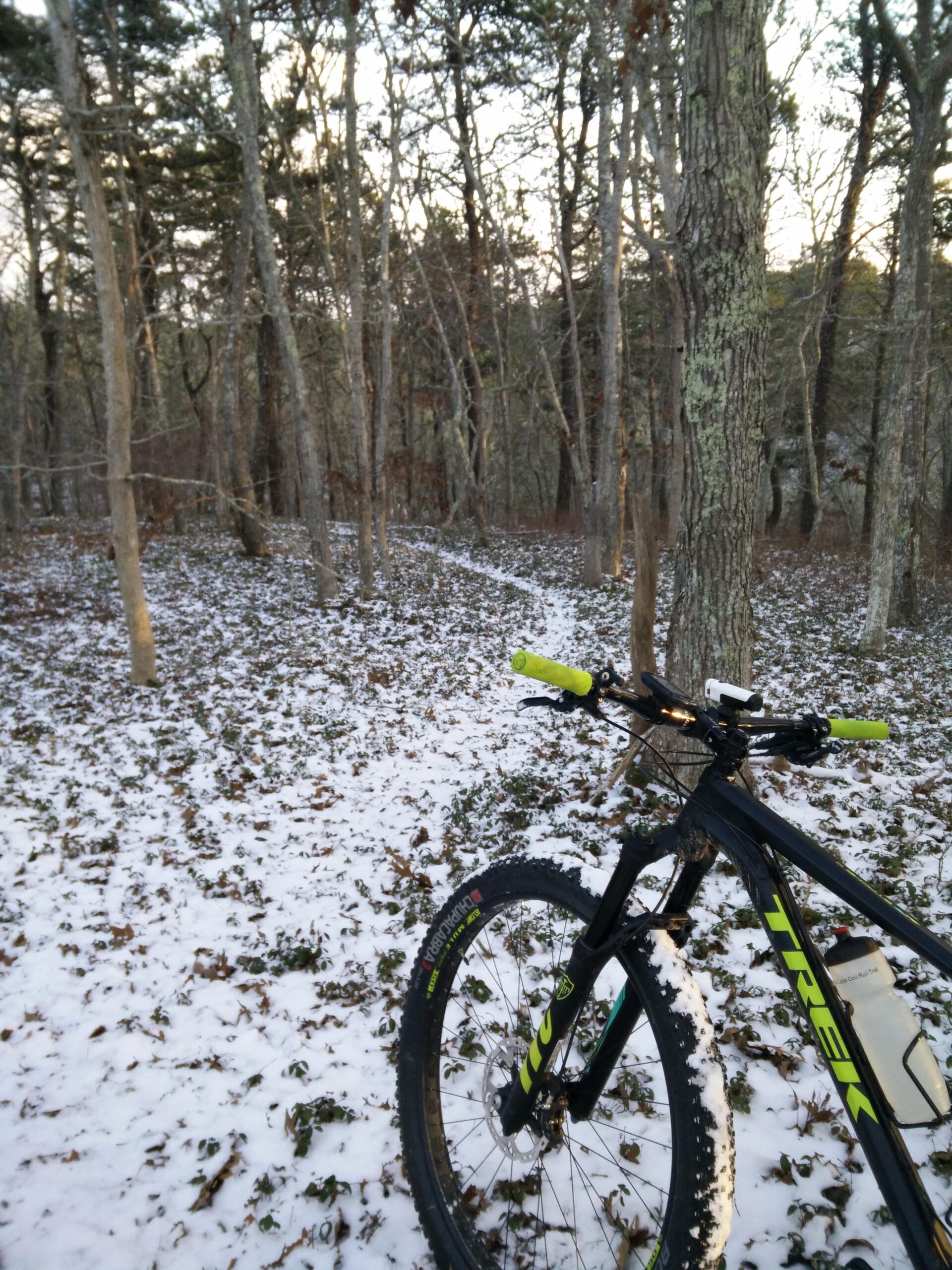 Trek Stache 9 29 Plus: A mountain bike resting on snow-covered ground in a dense forest. The path winds through the trees, and the bike features distinct green accents, with a water bottle attached to the frame. The scene captures a serene winter landscape with fallen leaves and a backdrop of bare trees.