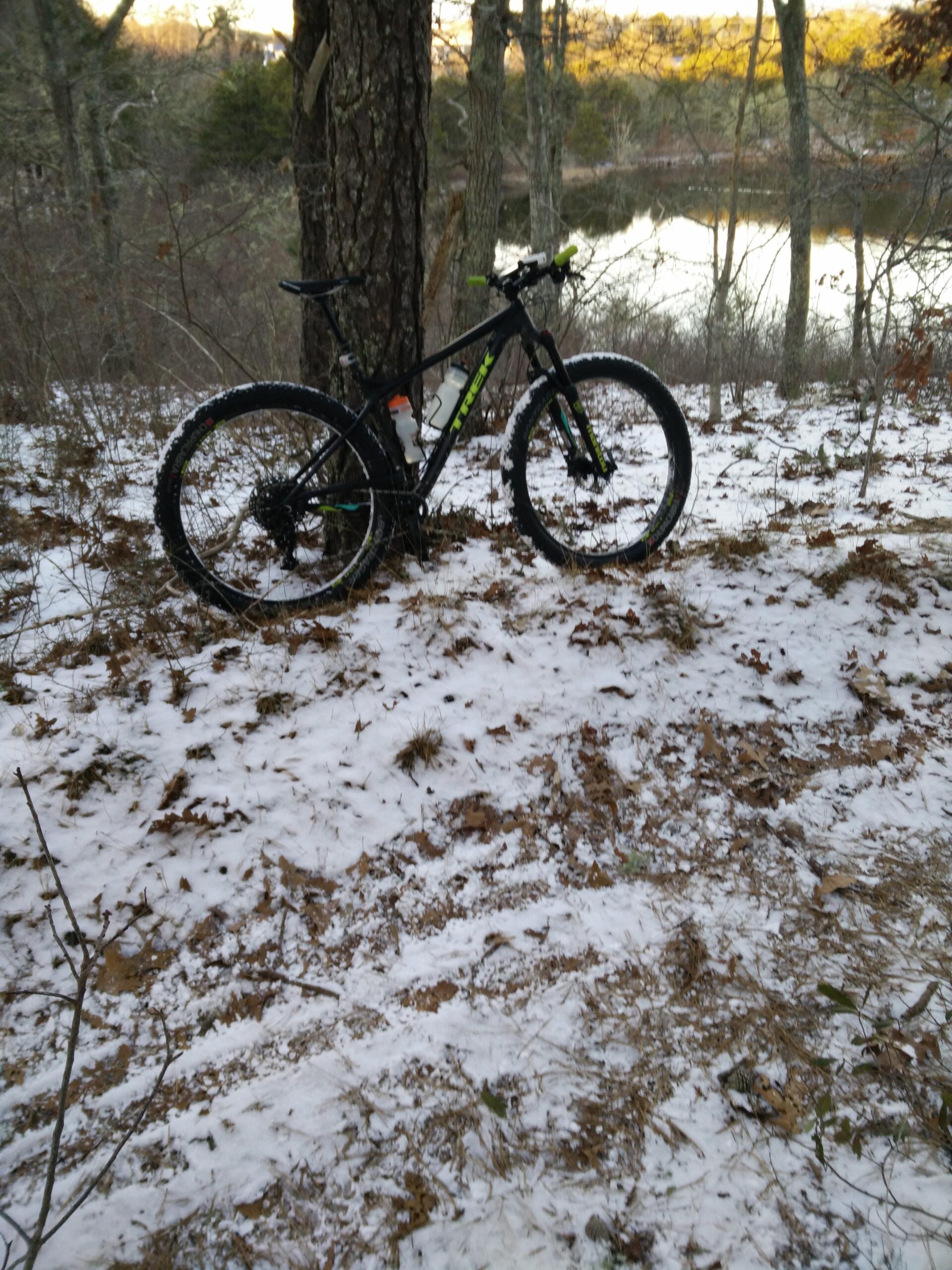 Trek Stache 9 29 Plus: A mountain bike resting against a tree in a snowy landscape, surrounded by bare trees and a view of a calm lake in the background. Leaf litter and patches of snow cover the ground, indicating a winter setting.