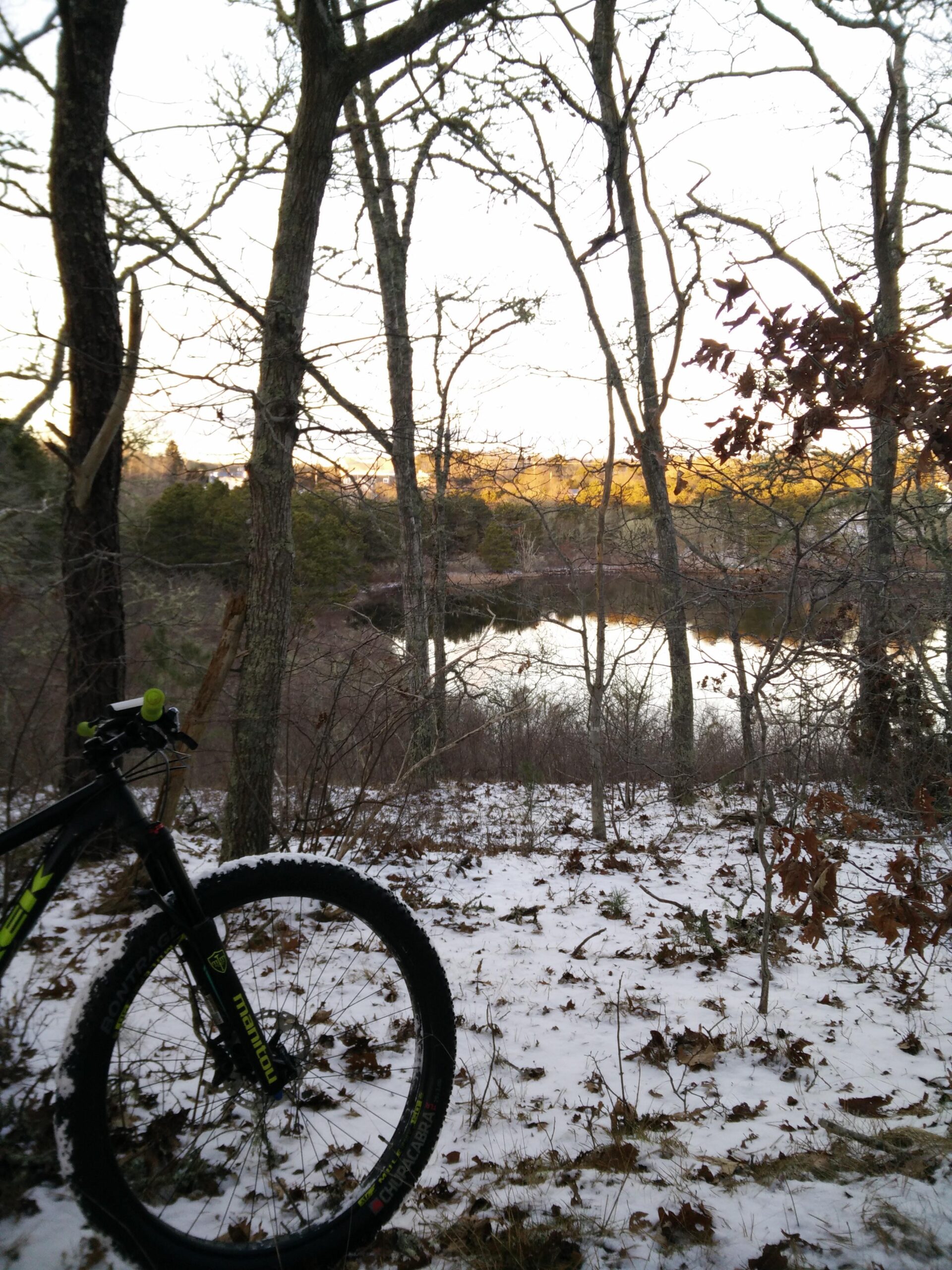Trek Stache 9 29 Plus: A mountain bike stands on a snowy forest floor, surrounded by leafless trees. In the background, a tranquil pond reflects the soft colors of a sunset, with hints of green foliage peeking through the underbrush.