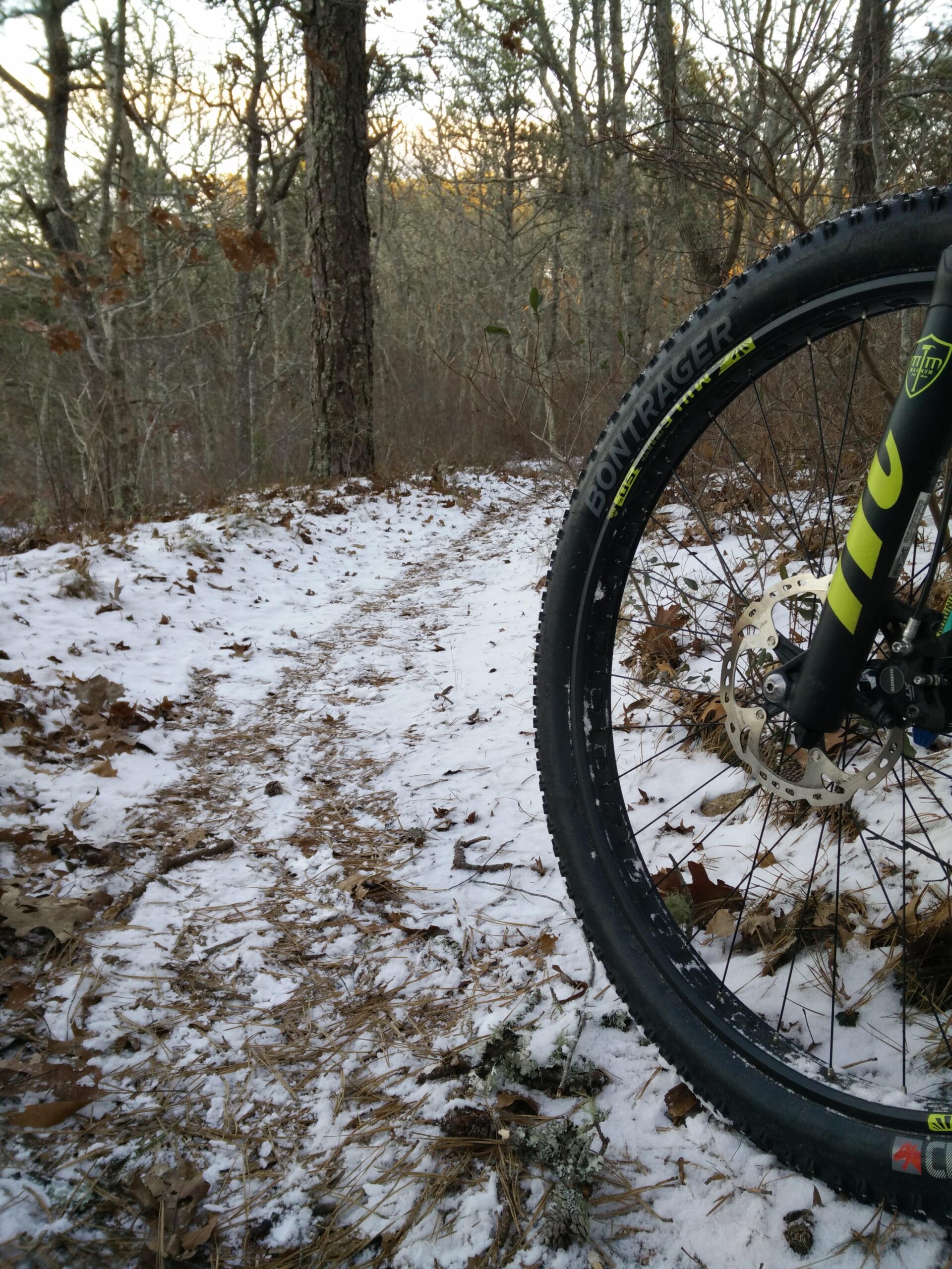 Trek Stache 9 29 Plus: A close-up view of a mountain bike tire resting on a snowy trail, surrounded by fallen leaves and dirt. The background features a dense forest with bare trees, indicating winter. The sunlight peeks through the branches, suggesting a late afternoon setting.