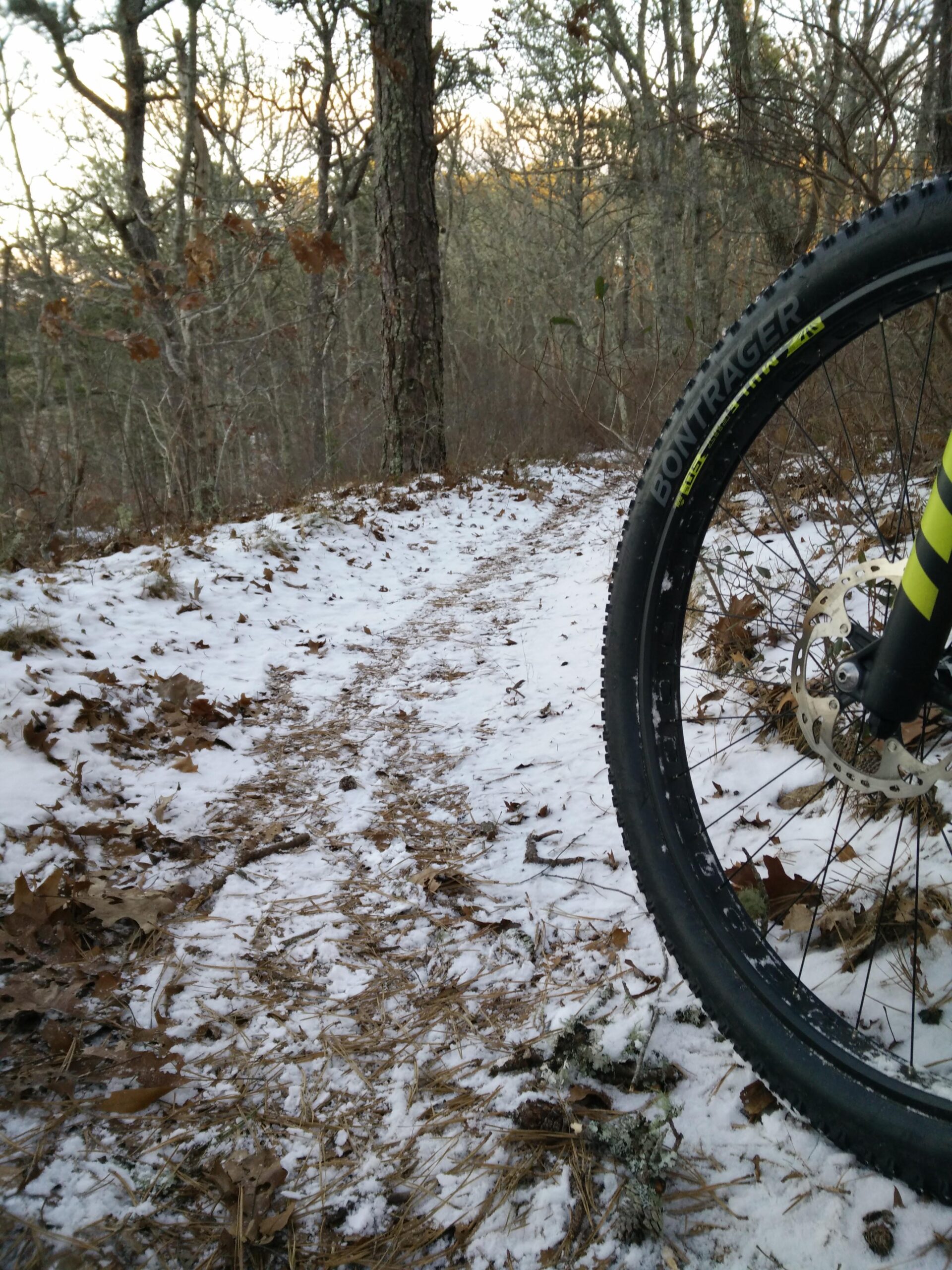 Trek Stache 9 29 Plus: A close-up view of a mountain bike tire on a snowy, leaf-strewn trail surrounded by trees. The path is partially covered with snow and visible tire tracks indicate recent usage. Trees in the background are bare, depicting a winter landscape.