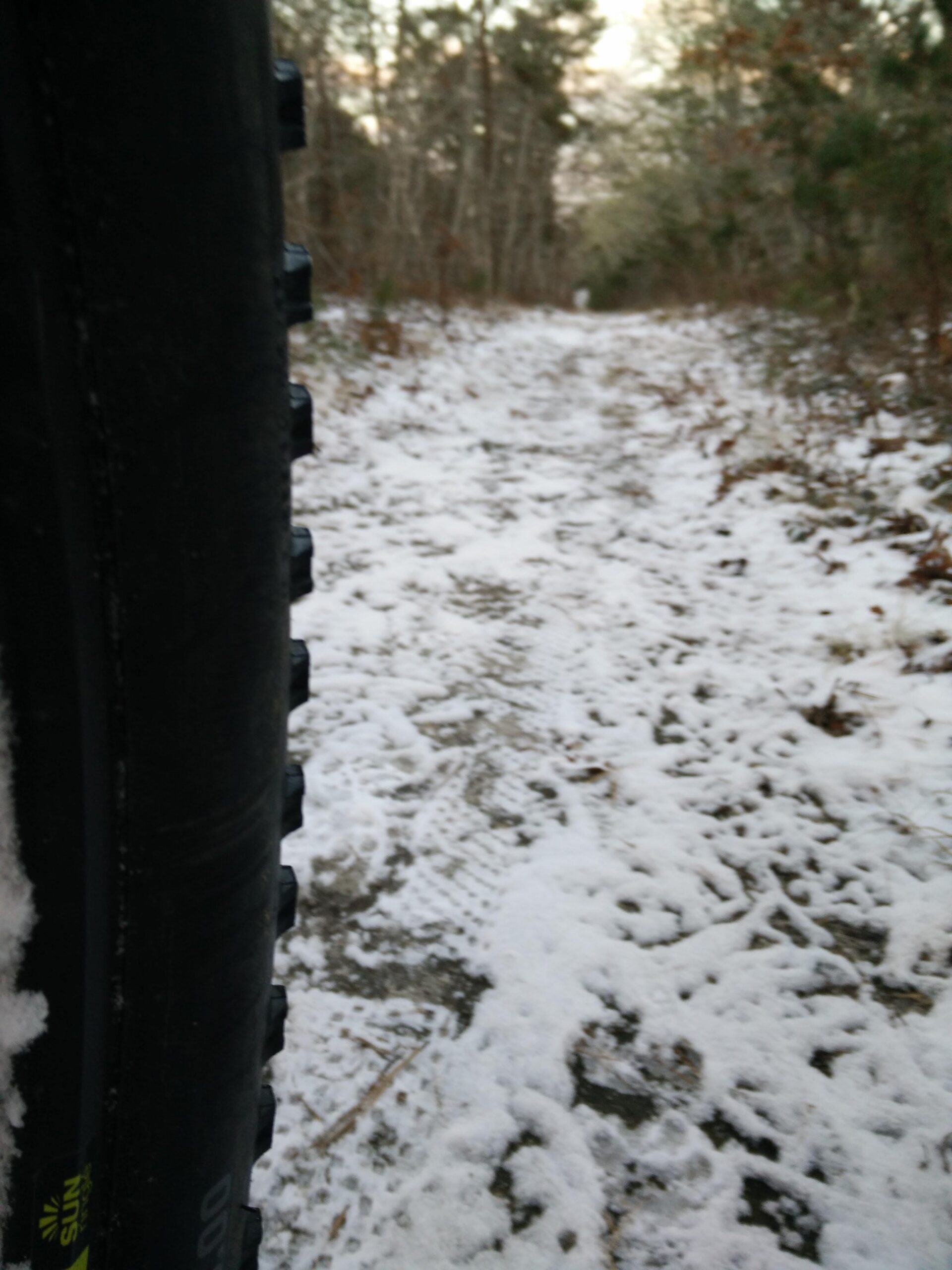 Trek Stache 9 29 Plus: A close-up view of a mountain bike tire positioned at the edge of a snowy, forested trail. The path is covered with a layer of snow, showing tire tracks and footprints, while trees line the sides of the trail in the background.