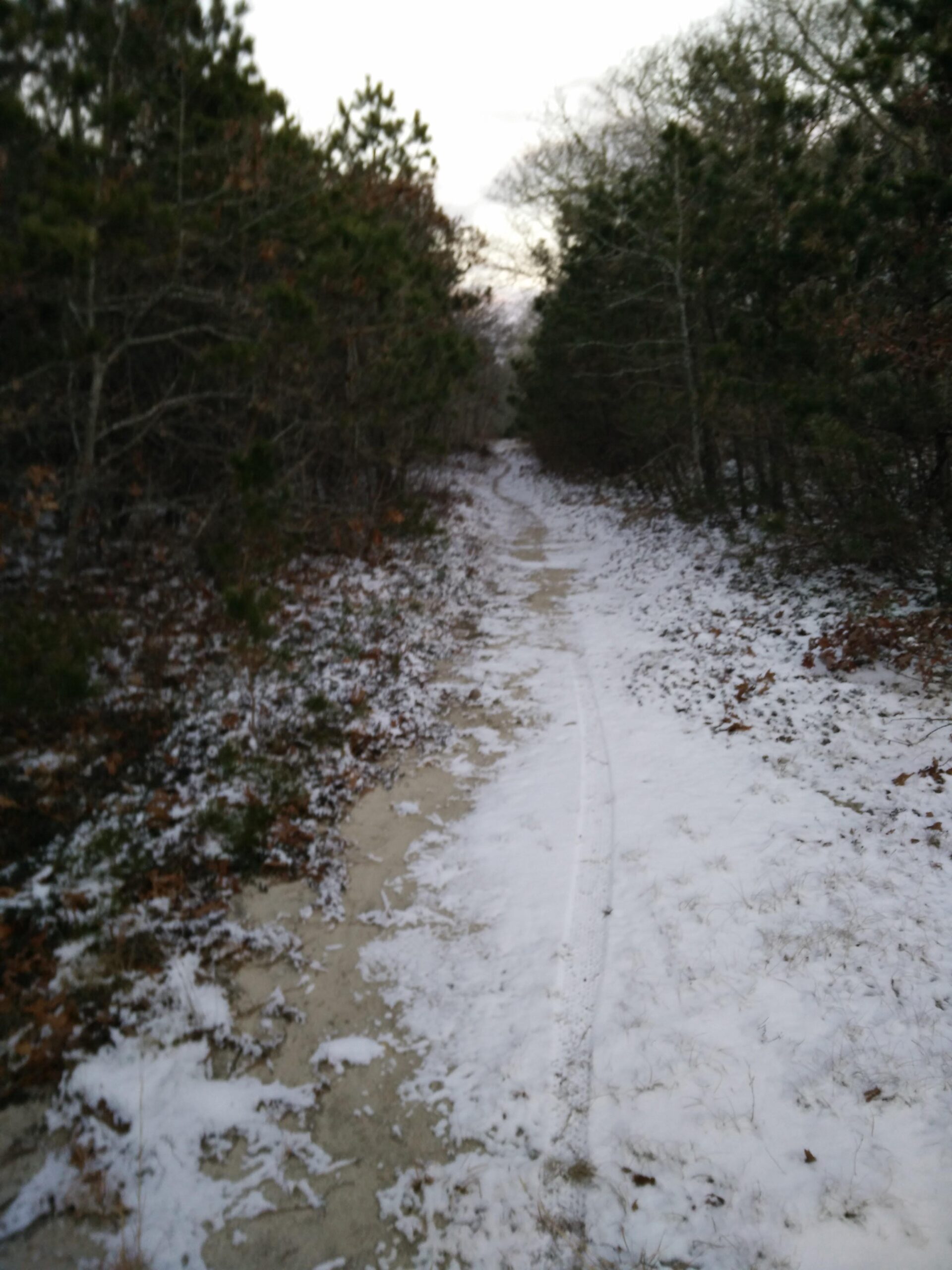 A snowy pathway winding through a forest, flanked by trees on either side. The ground is a mix of snow and dirt, and faint tire tracks are visible in the snow. The scene is slightly overcast, suggesting a chilly winter day. Volunteer Park/Chatham Ponds mountain bike trail.