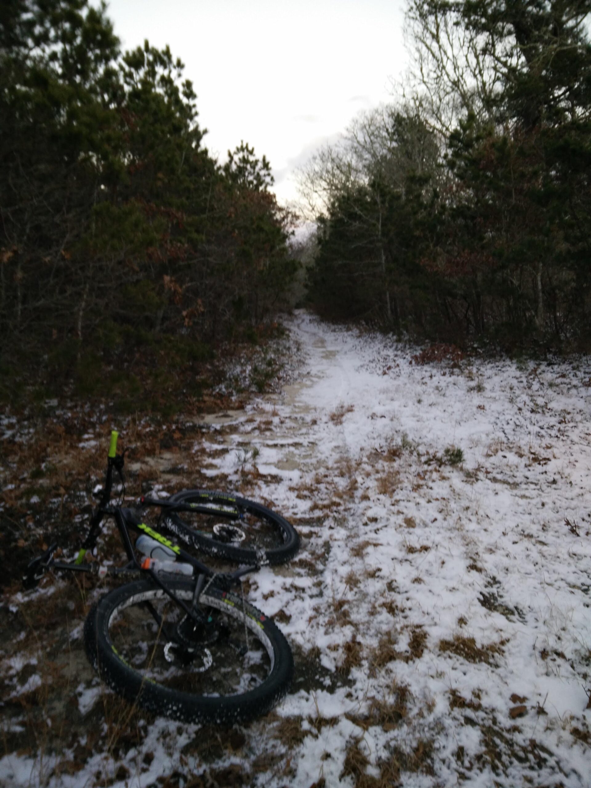 Trek Stache 9 29 Plus: Mountain bike lying in a snowy forest trail, surrounded by trees and patches of grass. The path stretches into the distance, indicating a serene and untouched natural setting.