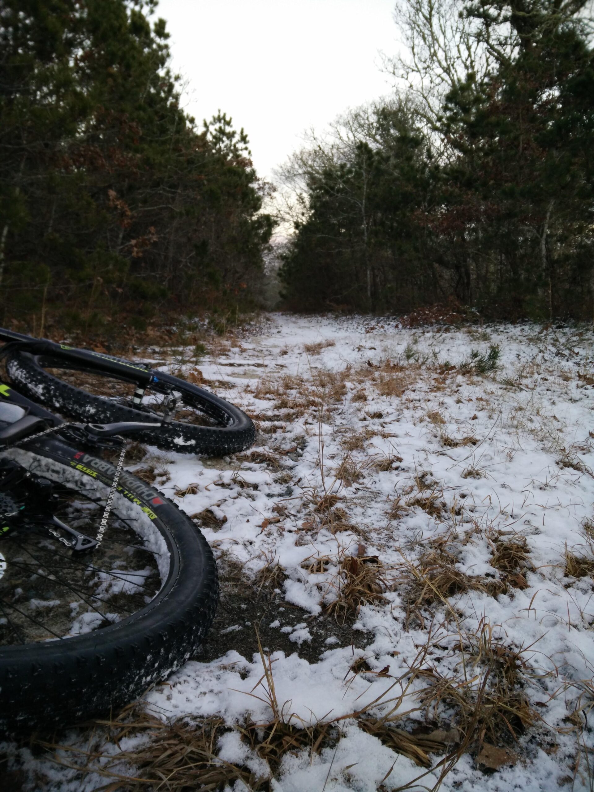 Trek Stache 9 29 Plus: A snow-covered dirt trail surrounded by trees, with a mountain bike partially visible in the foreground. The scene captures the quiet atmosphere of a winter landscape.