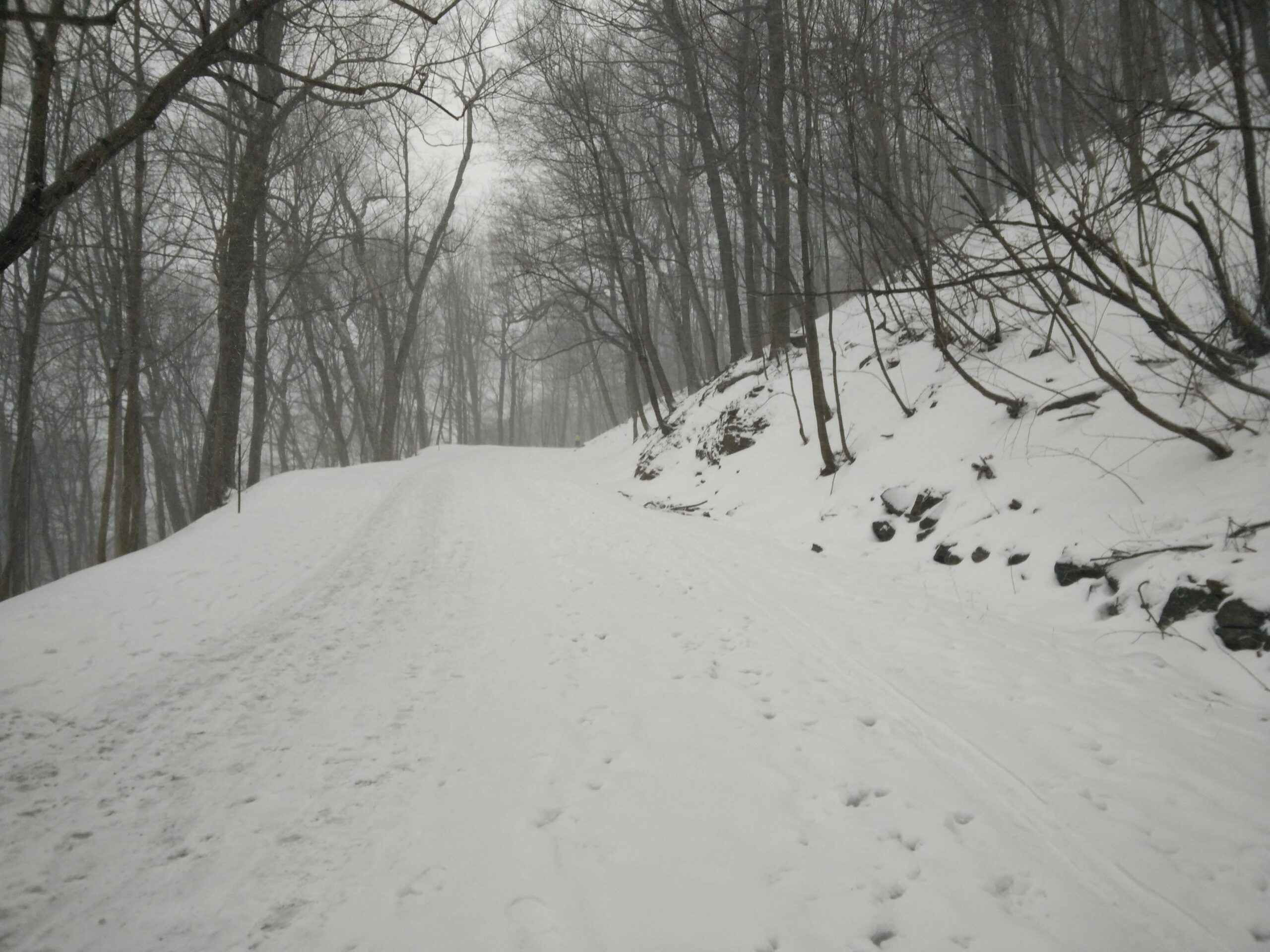 A snowy pathway winding through a misty forest, flanked by bare trees. The scene is serene, with fresh snow covering the ground and traces of footprints along the path, leading into the foggy distance. Parc du Mont-Royal mountain bike trail.