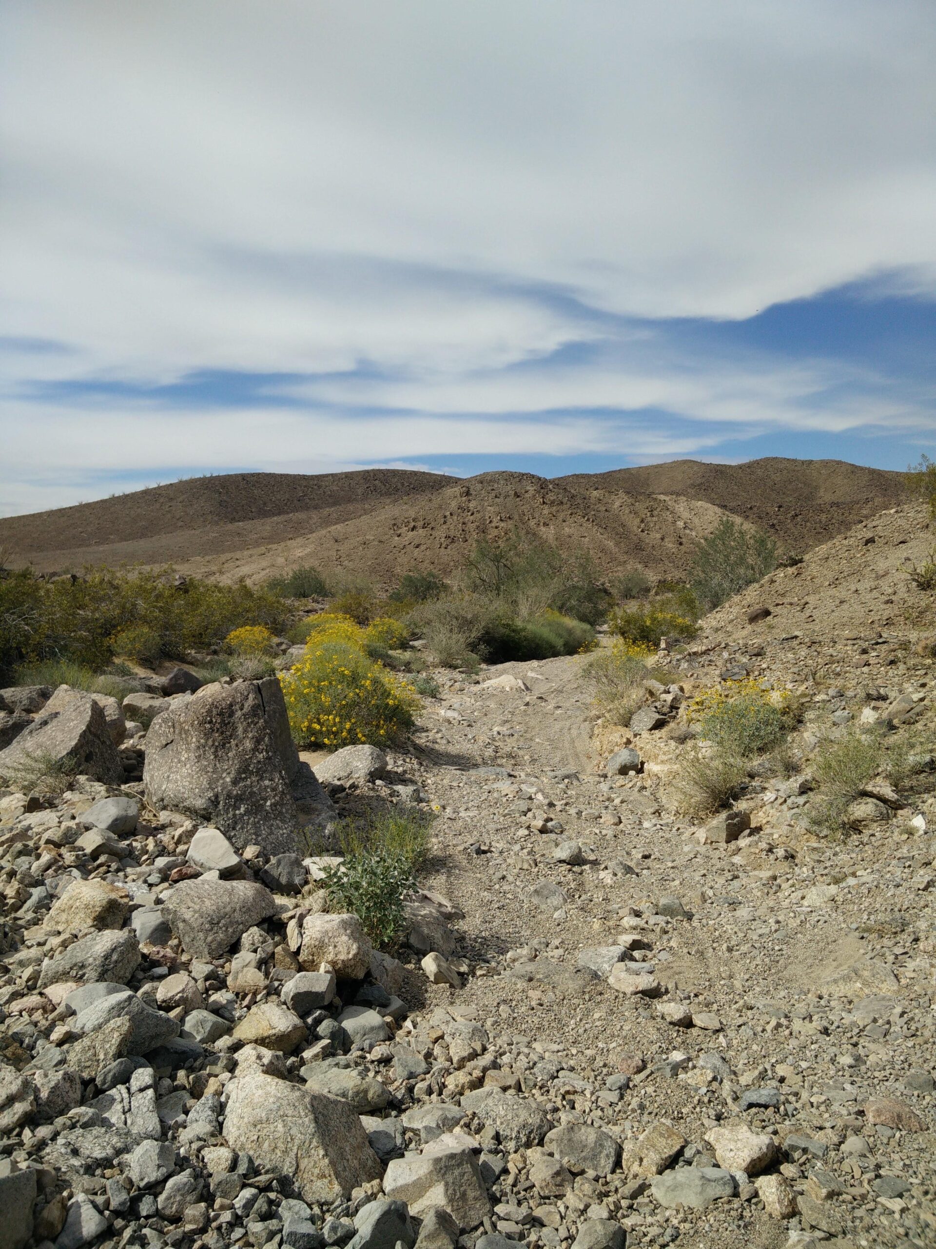 A rocky, desert landscape with scattered boulders and yellow wildflowers, leading to gentle hills under a partly cloudy sky. Sugarloaf Peak mountain bike trail.