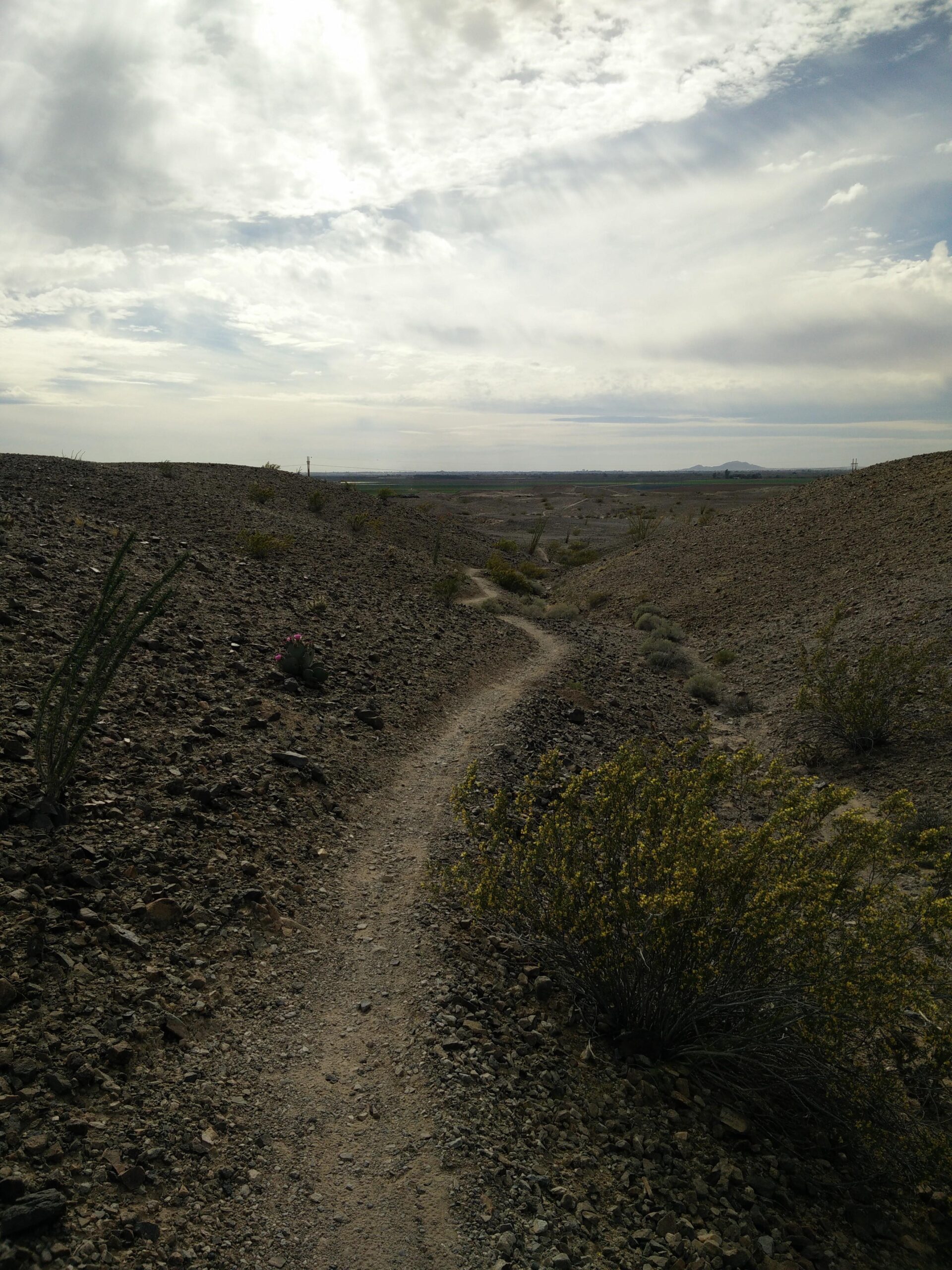 A winding dirt trail cuts through a rocky, arid landscape, surrounded by sparse vegetation and small bushes with yellow flowers. The scene is under a cloudy sky, creating a dramatic atmosphere. In the distance, the terrain stretches out towards a horizon dotted with low hills. Sugarloaf Peak mountain bike trail.