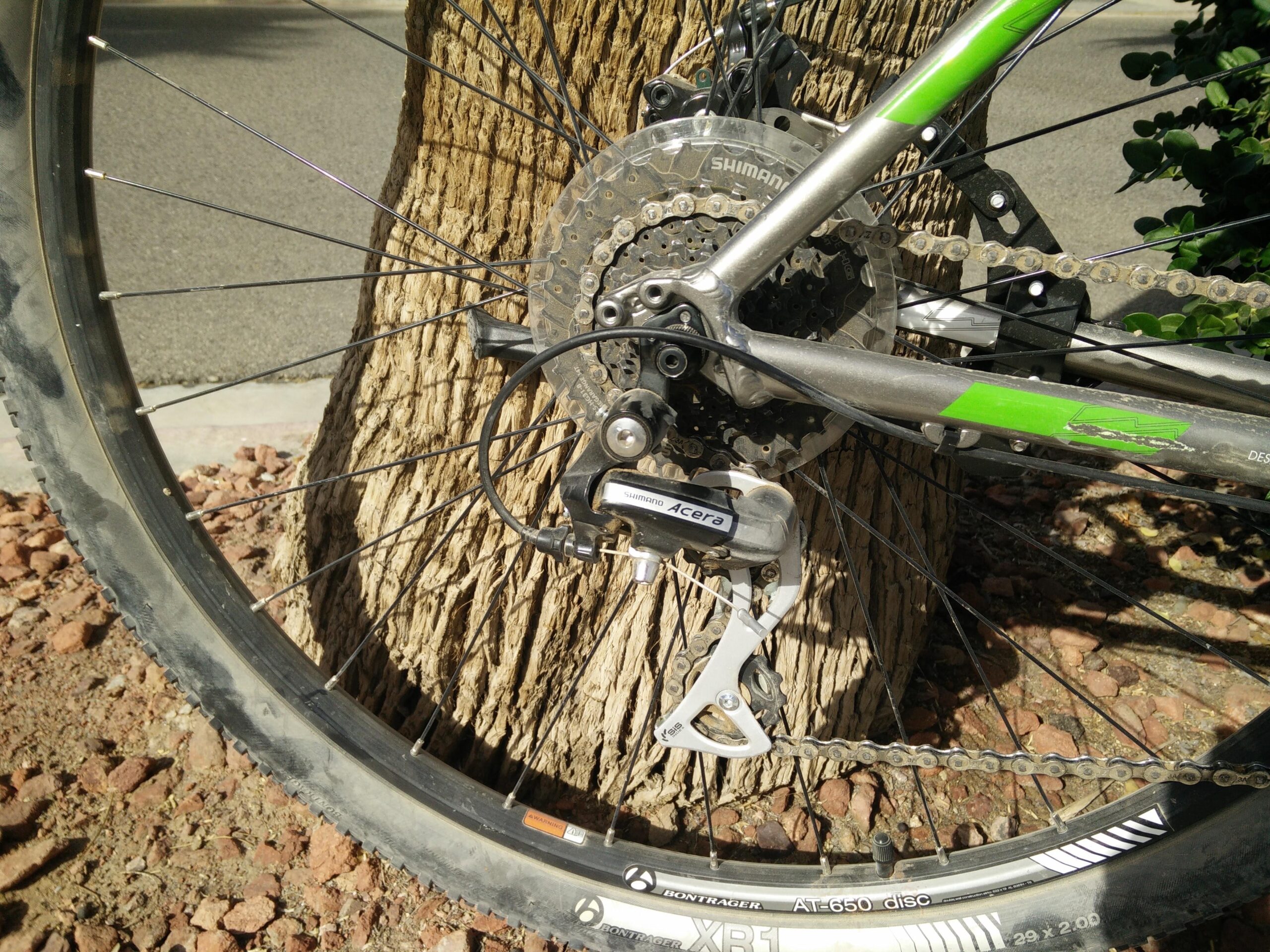 Trek X-Caliber 5: Detail of a bicycle rear wheel, featuring a Shimano Acera derailleur and drivetrain components, positioned next to a tree trunk. The image showcases the tire, spokes, and chain, with rocky ground visible below.