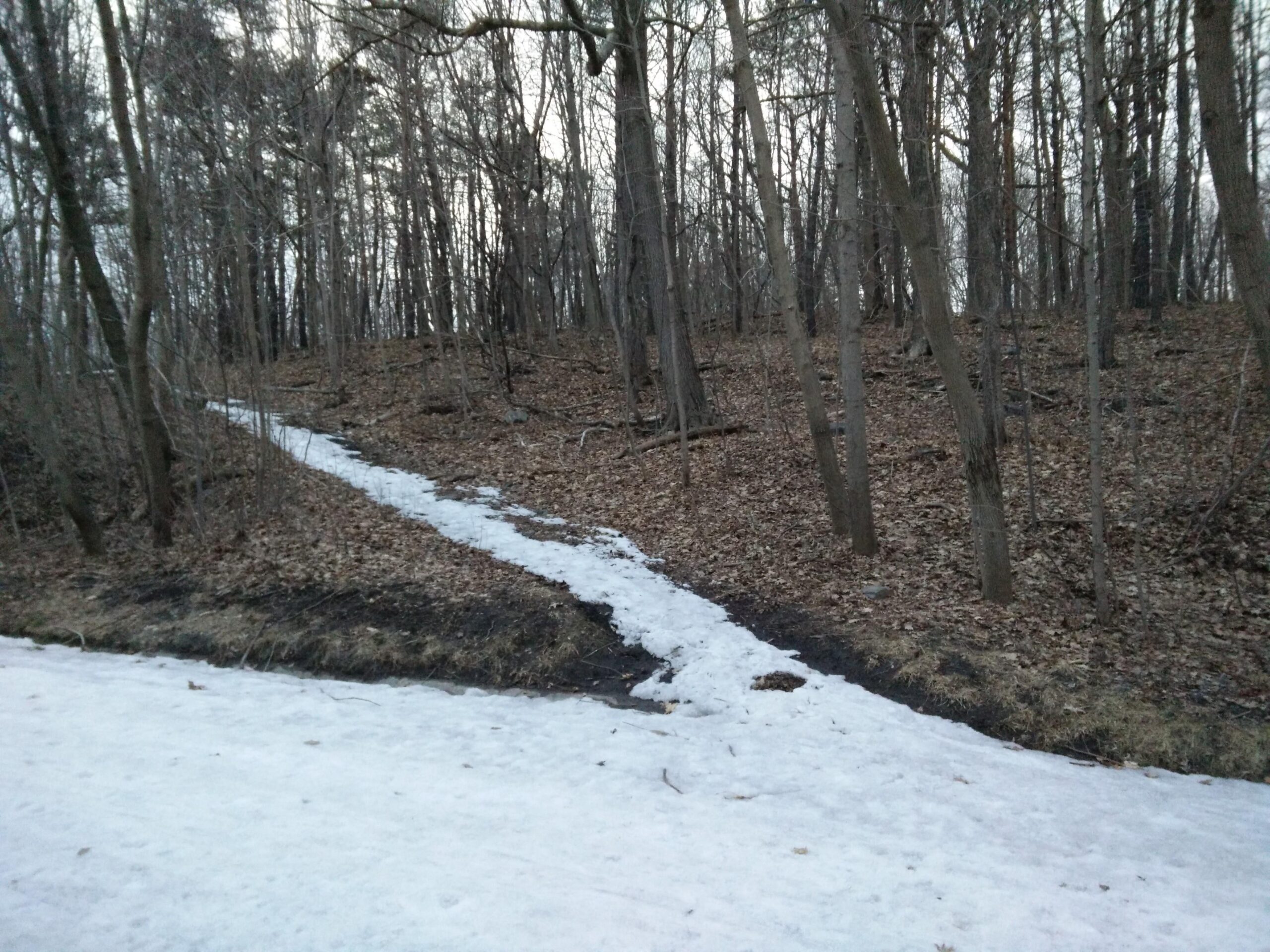 A winding path through a forest with melting snow on the ground, surrounded by trees with bare branches. The scene captures a transition from winter to spring, showing areas of exposed earth and dried leaves along the trail. Parc du Mont-Royal mountain bike trail.