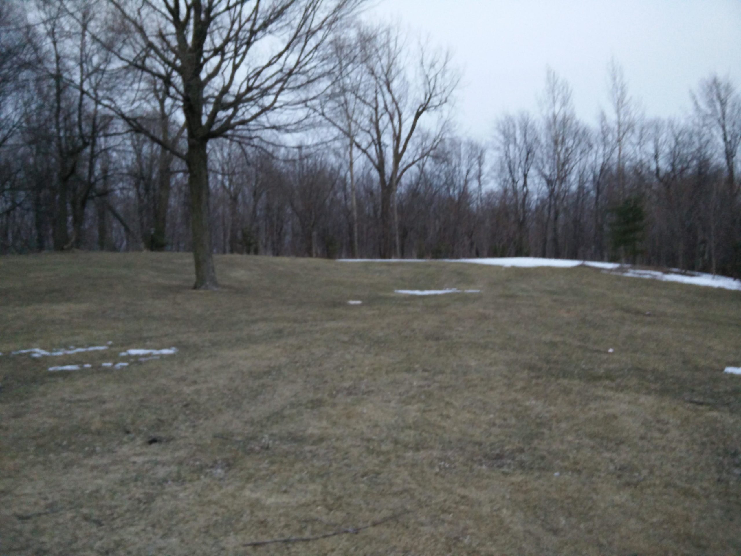 A dimly lit landscape showing a grassy area with sparse patches of snow and several bare trees in the background, indicating early spring or late winter. The sky is overcast, creating a muted atmosphere. Parc du Mont-Royal mountain bike trail.