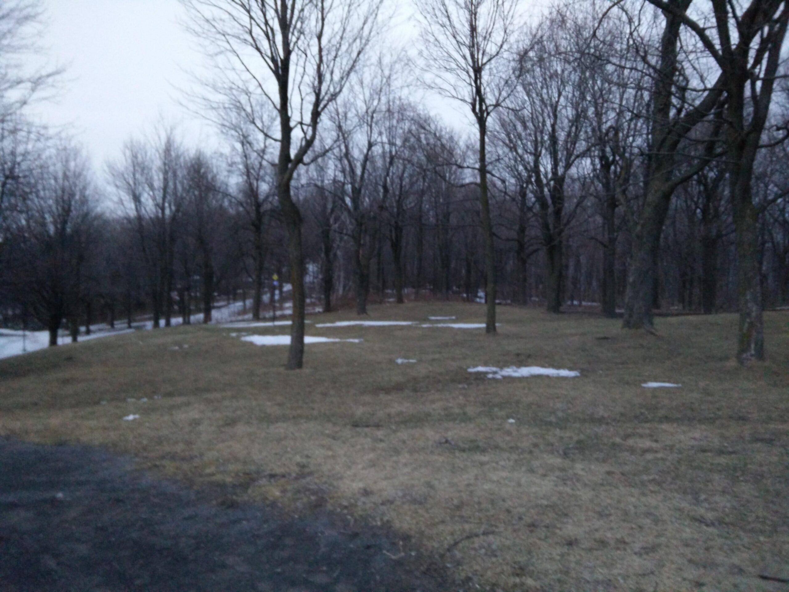 A quiet, overcast landscape showing a grassy area with sparse patches of snowy remnants, surrounded by bare trees. A winding path can be seen leading through the trees in the background, suggesting a tranquil park setting in late winter or early spring. Parc du Mont-Royal mountain bike trail.