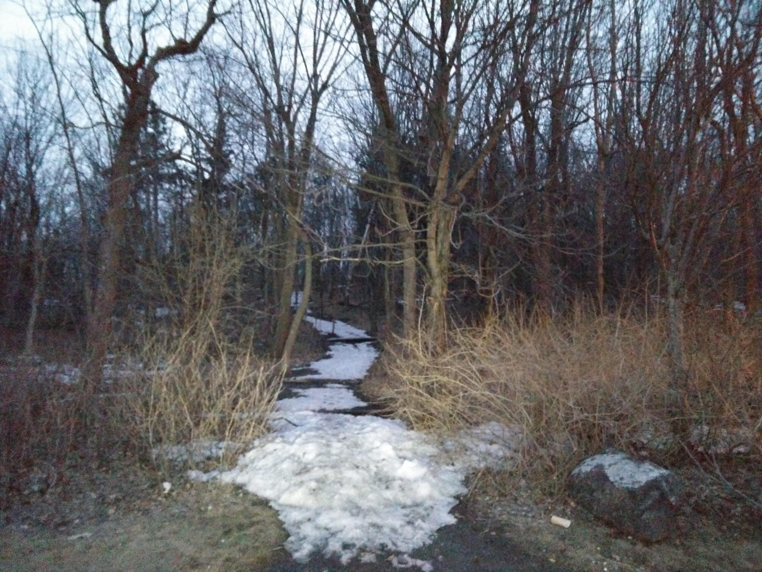 A dimly lit pathway leading into a forested area, surrounded by bare trees and shrubs. Patches of snow are visible on the ground, indicating winter or early spring conditions. The scene conveys a quiet, natural setting with a slightly eerie atmosphere due to the low light. Parc du Mont-Royal mountain bike trail.