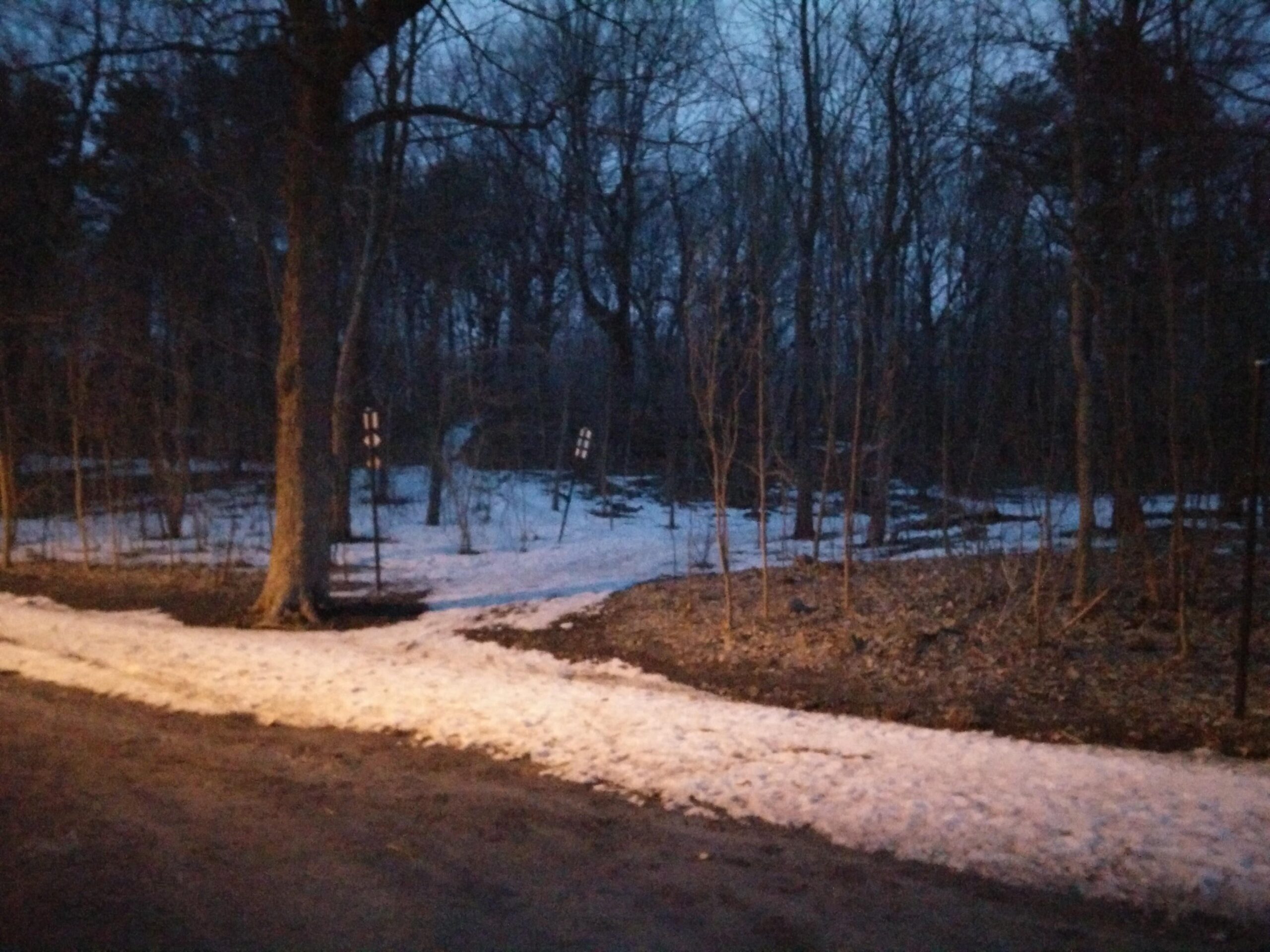 A dimly lit wooded area at dusk, with a dirt path leading into the trees. Snow is partially covering the ground, and a few signposts are visible near the path entrance. The scene has a quiet, serene atmosphere. Parc du Mont-Royal mountain bike trail.
