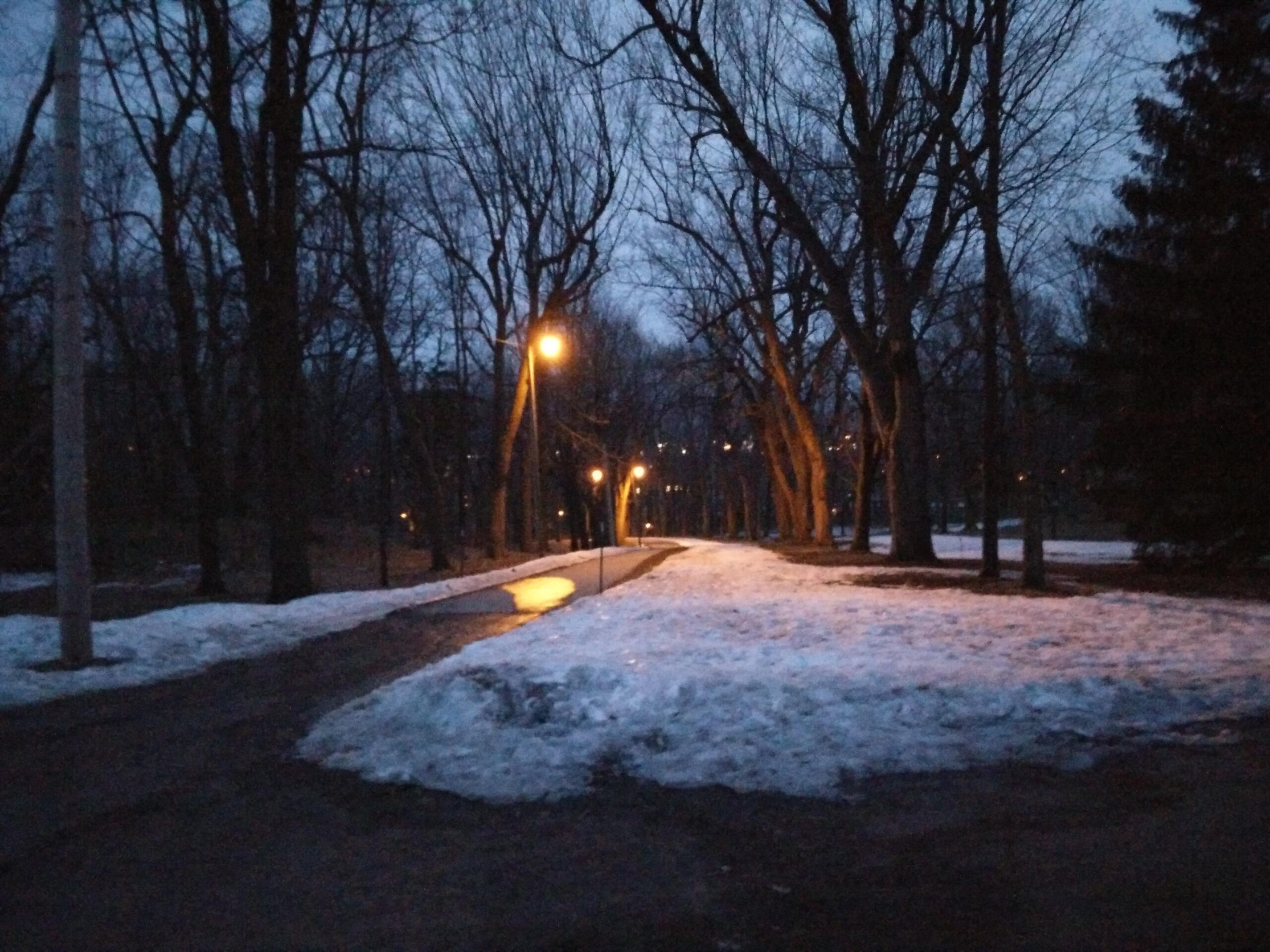 A dimly lit path winding through a park at dusk, surrounded by bare trees. Patches of snow remain on the ground, while street lamps cast a warm glow along the walkway. The scene evokes a quiet, serene atmosphere as twilight approaches. Parc du Mont-Royal mountain bike trail.