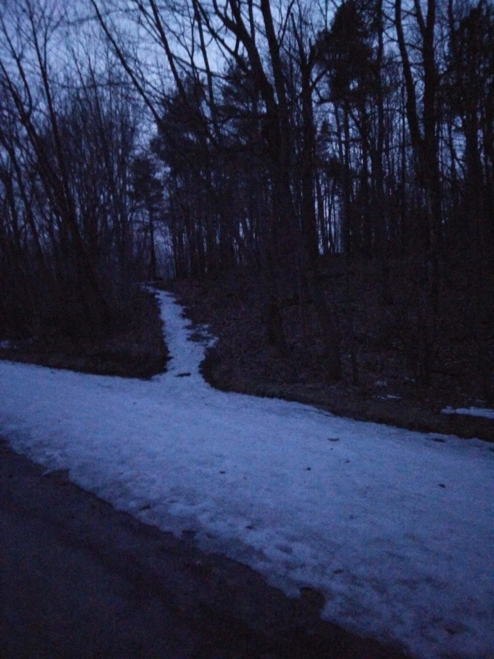 A dimly lit image of a snowy path winding through a wooded area during twilight. The path is partially covered in snow, leading to a fork where it splits into two directions, surrounded by bare trees. Parc du Mont-Royal mountain bike trail.