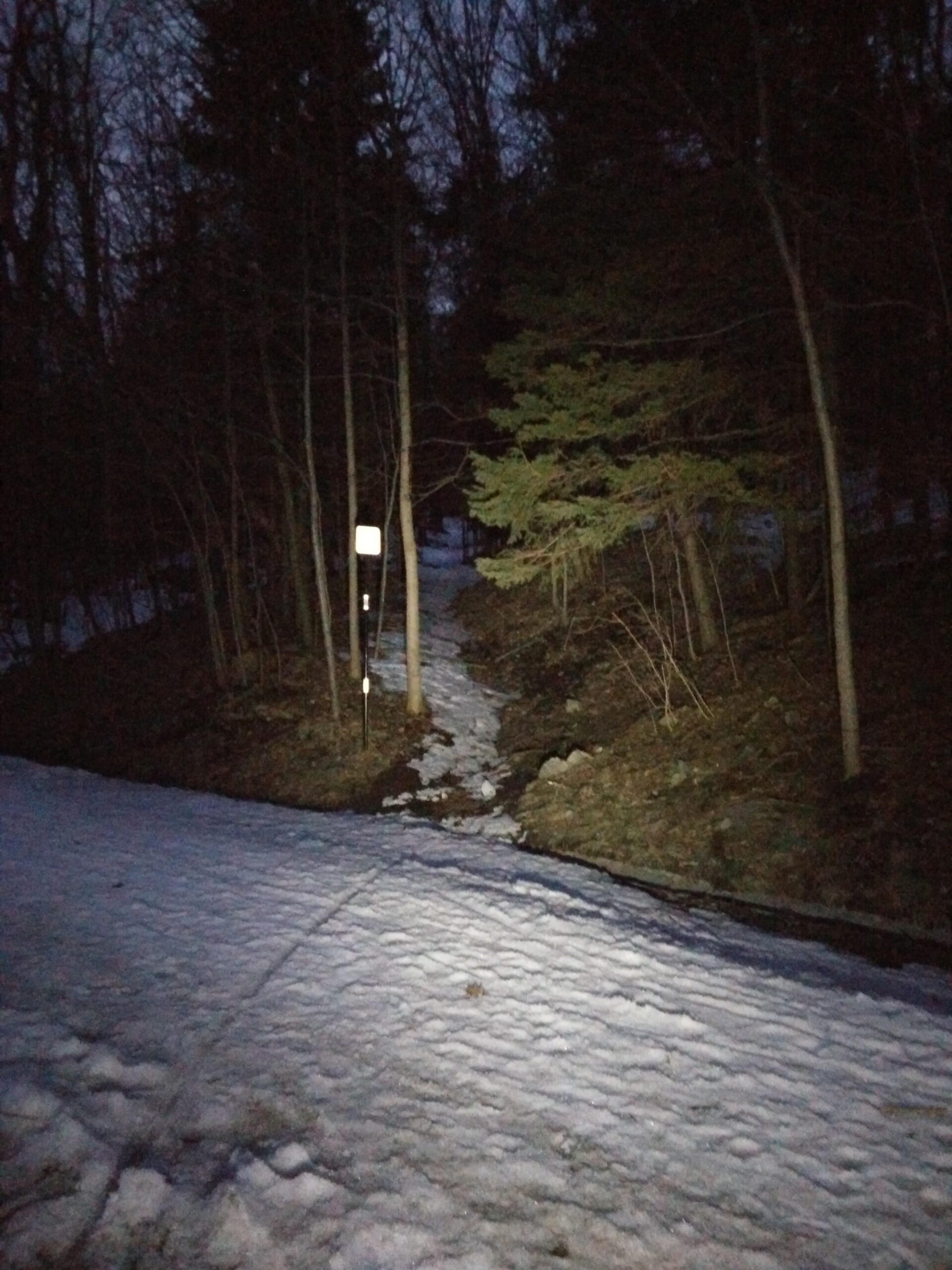 A dimly lit wooded area with a snow-covered path winding through it, leading toward a trail sign. The scene captures the early evening or twilight atmosphere, with tall trees in the background and the ground covered in patches of snow. Parc du Mont-Royal mountain bike trail.