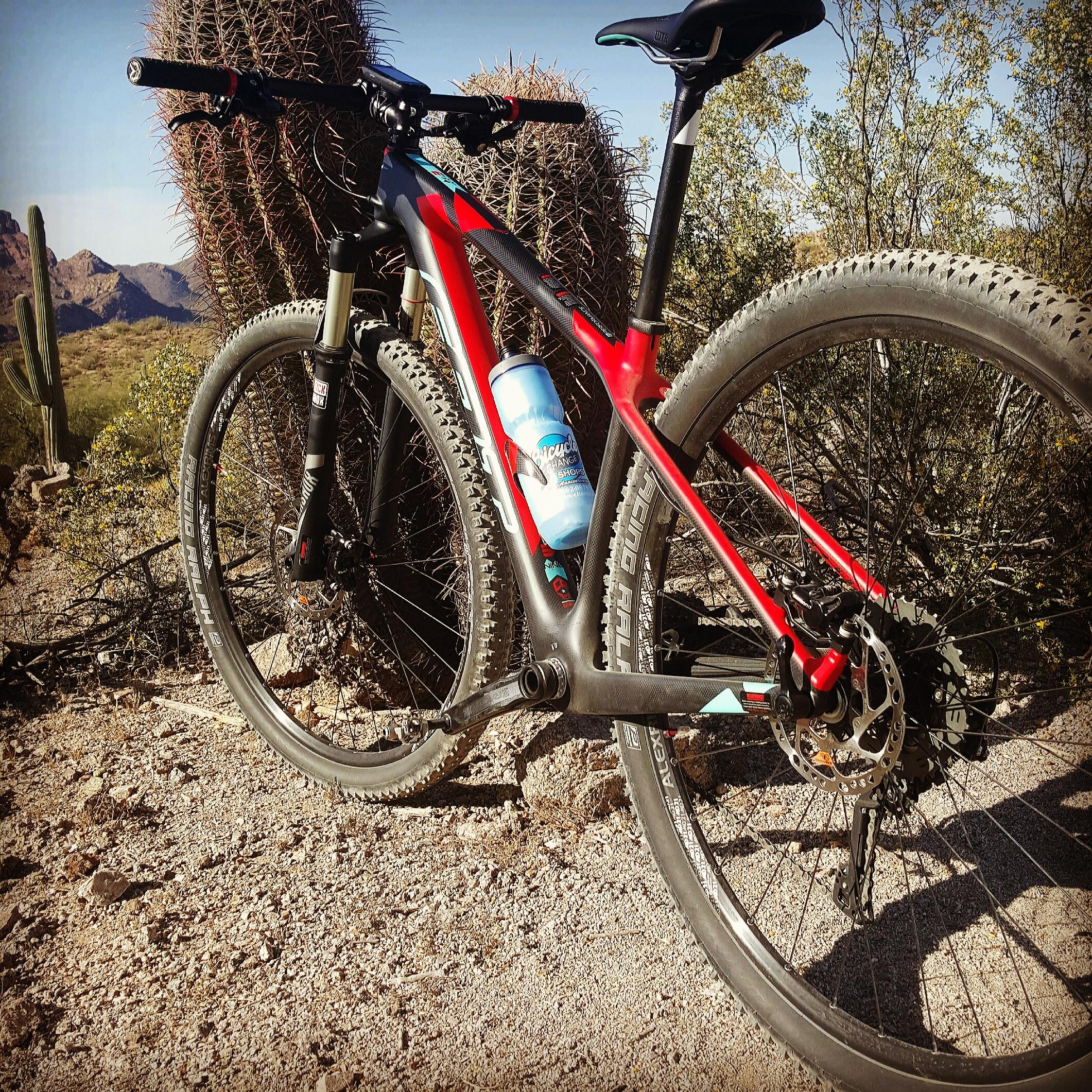 A close-up view of a mountain bike with a sleek red and black frame parked next to a large cactus in the desert. The bike features thick tires and a water bottle mounted on the frame. The background includes rocky terrain and distant hills under a clear blue sky. Hawes Loop mountain bike trail.