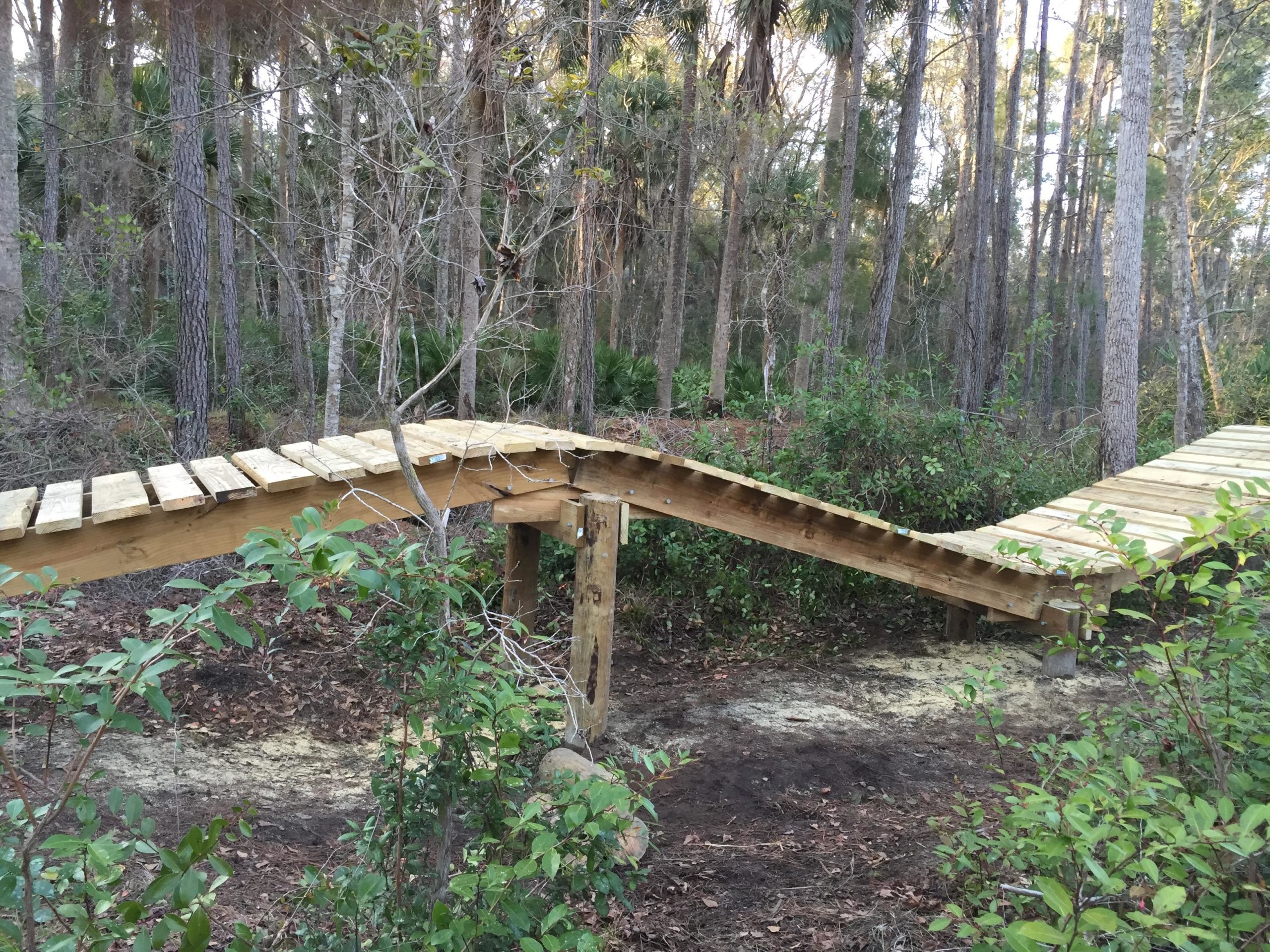 A wooden bridge with a curved design, built on stilts, surrounded by dense greenery and trees in a forested area. The bridge features a plank surface and is partially obscured by foliage and underbrush. Nocatee mountain bike trail.