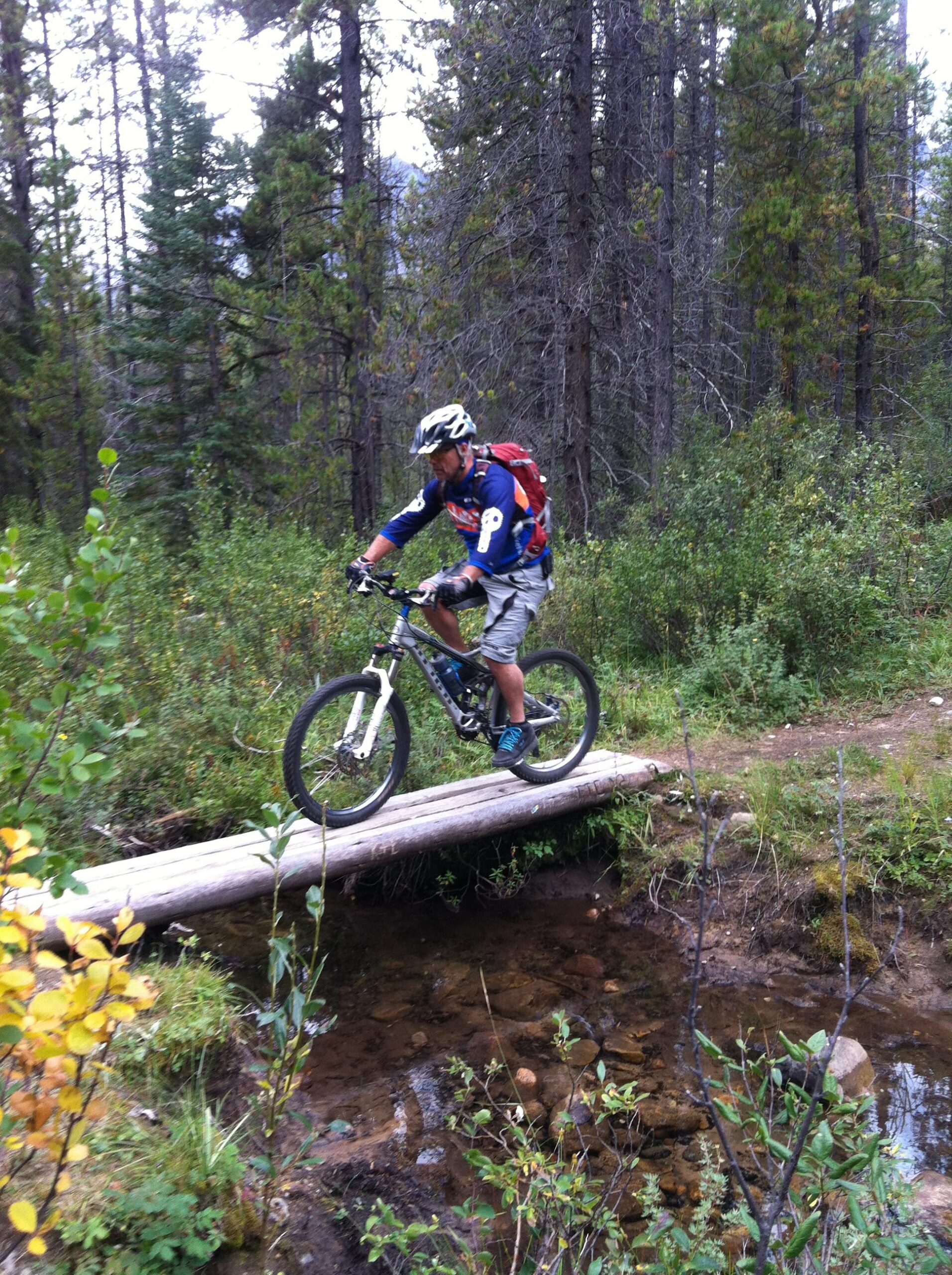 A mountain biker navigating a log bridge over a shallow creek in a forested area, surrounded by trees and greenery. The rider is wearing a helmet and protective gear, showcasing an adventurous spirit in a natural setting. Big Bend (Trail #126) mountain bike trail.