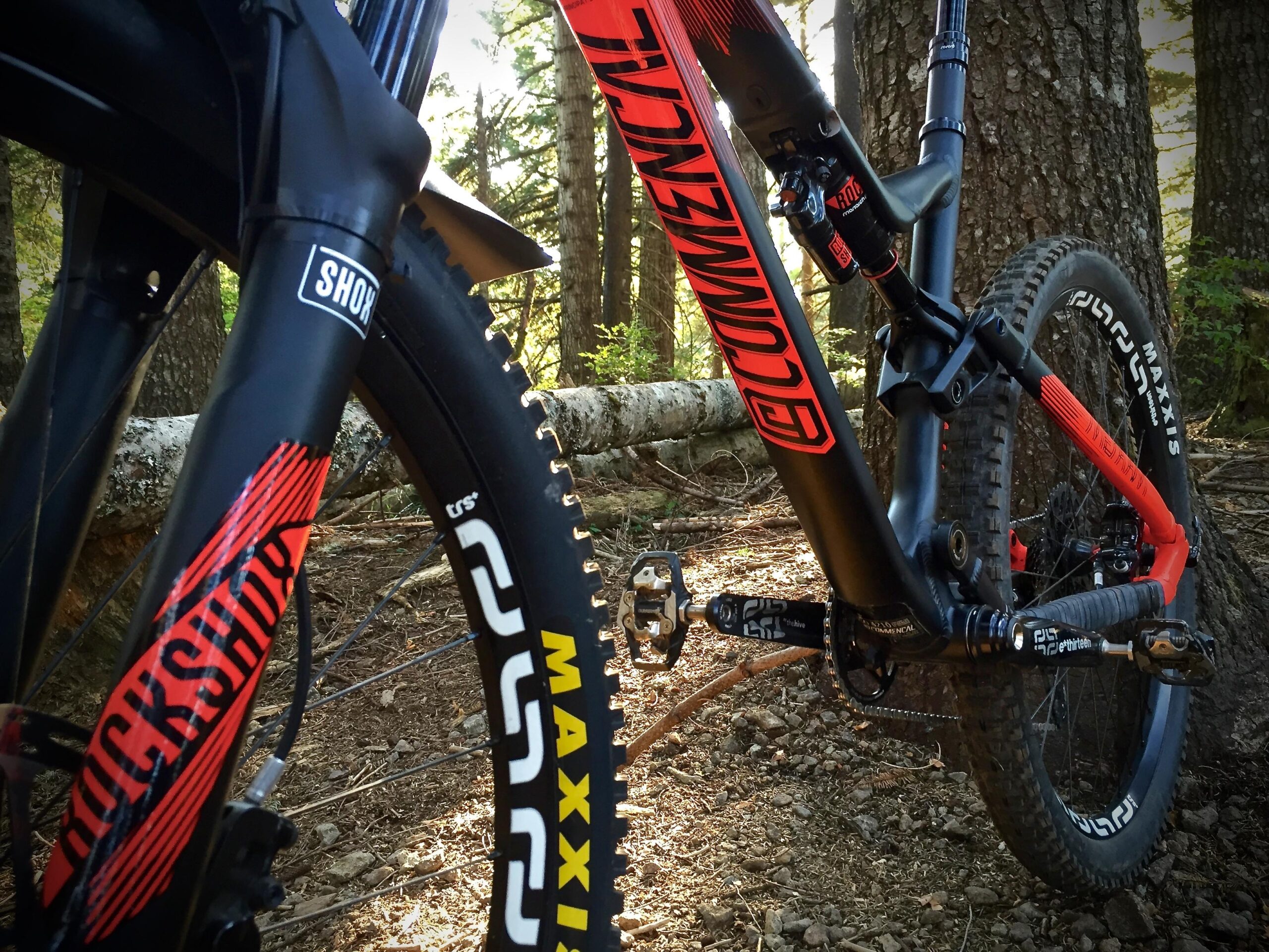 Commencal Meta AM V4: Close-up of a mountain bike resting against a tree in a forested area. The image highlights the bike's black and red frame, showcasing the suspension fork, tire with a "Maxxis" tread pattern, and detailed components such as the pedals and brake system. Sunlight filters through the trees, creating a natural, outdoor atmosphere.