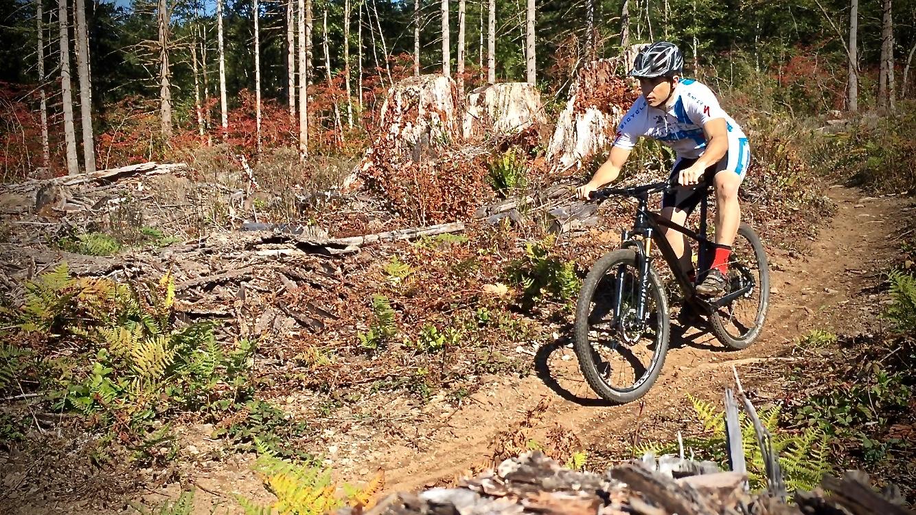 polygon syncline carbon