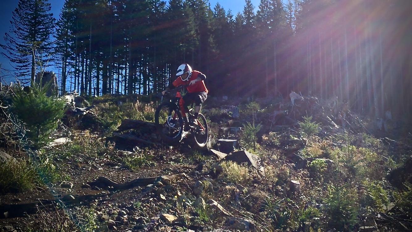A mountain biker in an orange and black outfit is performing a jump over a rocky terrain surrounded by trees and sunlight filtering through the forest. The scene captures the excitement and challenge of mountain biking in a natural environment. Cold Creek mountain bike trail.