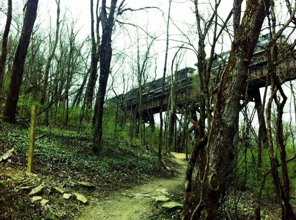 A winding dirt path through a wooded area, with bare trees and green foliage surrounding it. Above the trail, an old train trestle is visible, casting shadows among the branches in a muted, overcast atmosphere. Devou Park mountain bike trail.
