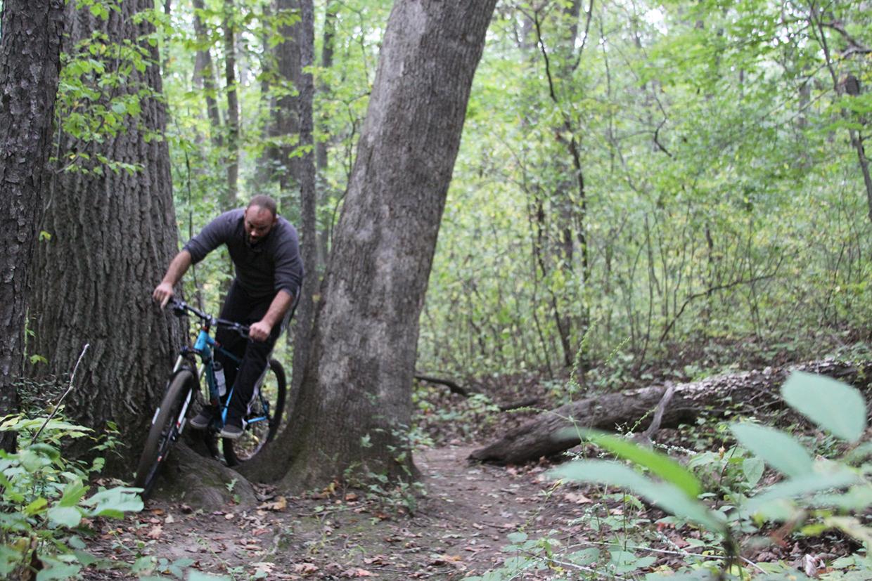 A person riding a mountain bike on a narrow dirt trail between two large trees in a wooded area, surrounded by green foliage and a serene natural environment. Beulah Park mountain bike trail.