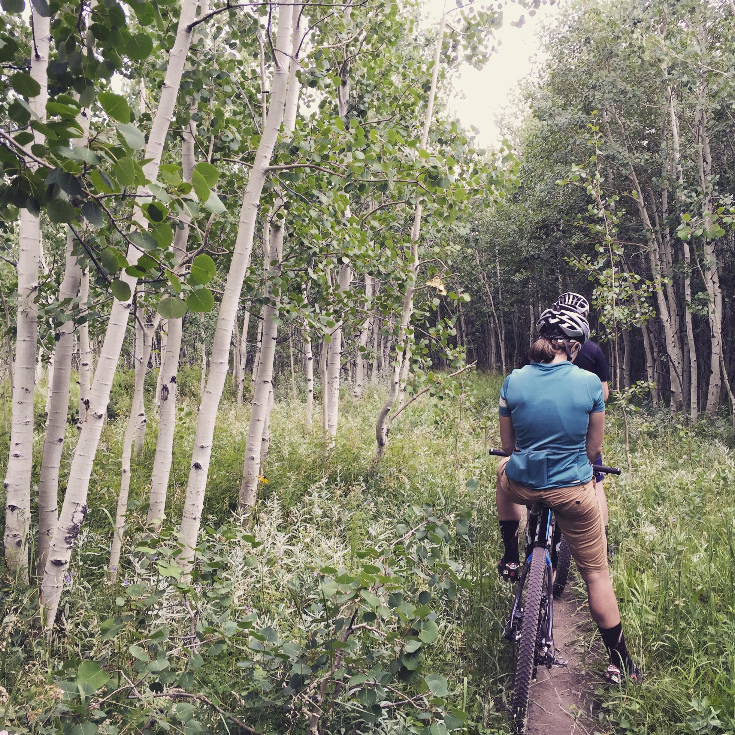 Two mountain bikers pause on a narrow trail surrounded by tall aspen trees and lush greenery. One rider is wearing a blue shirt and the other is in a black helmet and shirt, both facing away from the camera as they enjoy the peaceful forest environment.