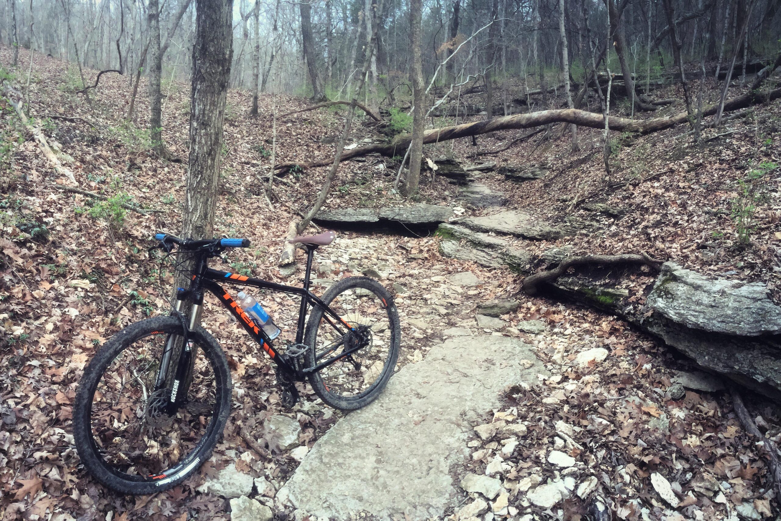 Trek X-Caliber 8: A mountain bike resting on a rocky trail surrounded by autumn leaves and trees, with a wooded area in the background.