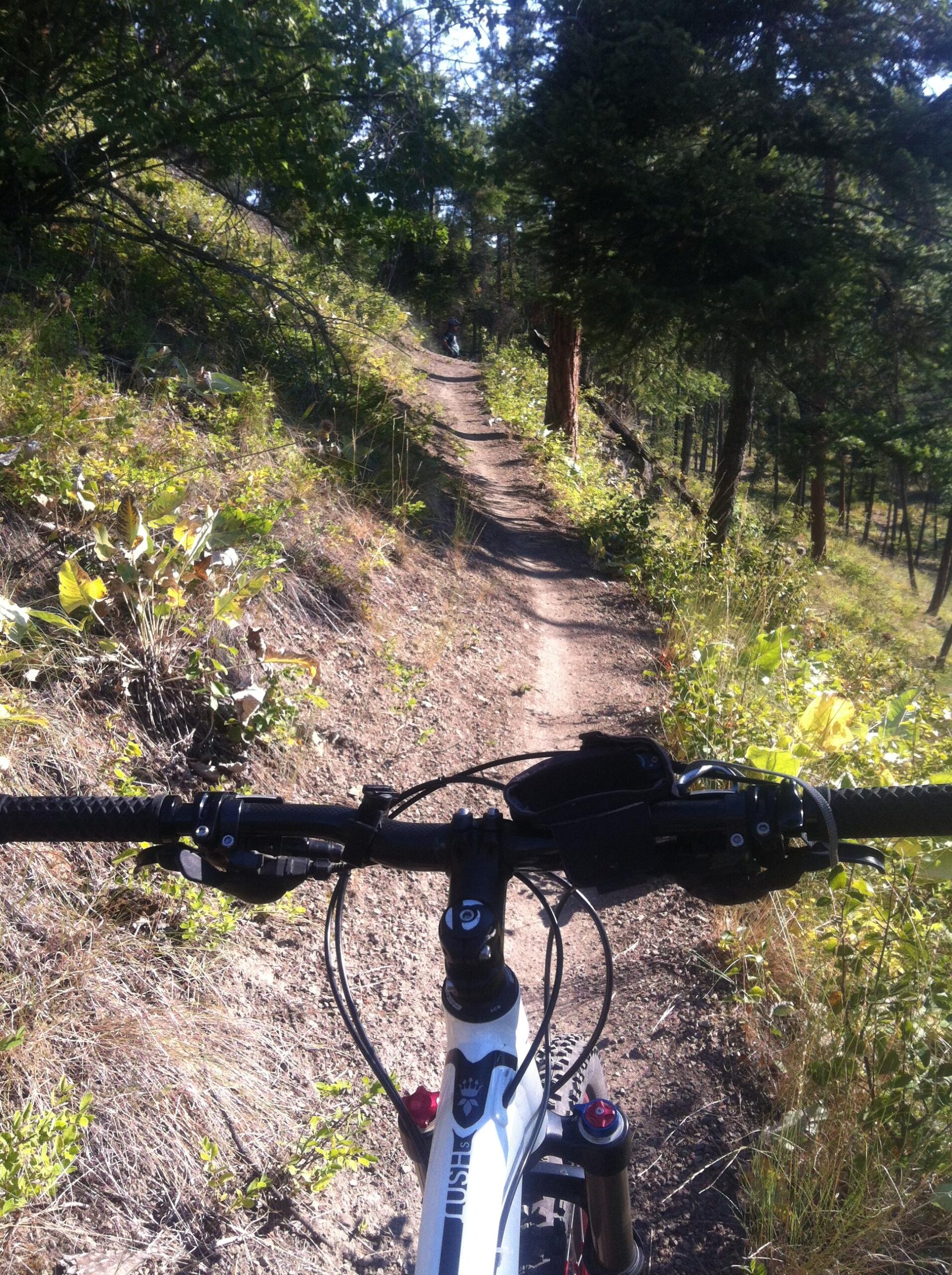 A mountain bike view from the handlebars, showing a narrow dirt trail surrounded by greenery and trees in a sunny forest setting. Rose Valley Resevoir mountain bike trail.