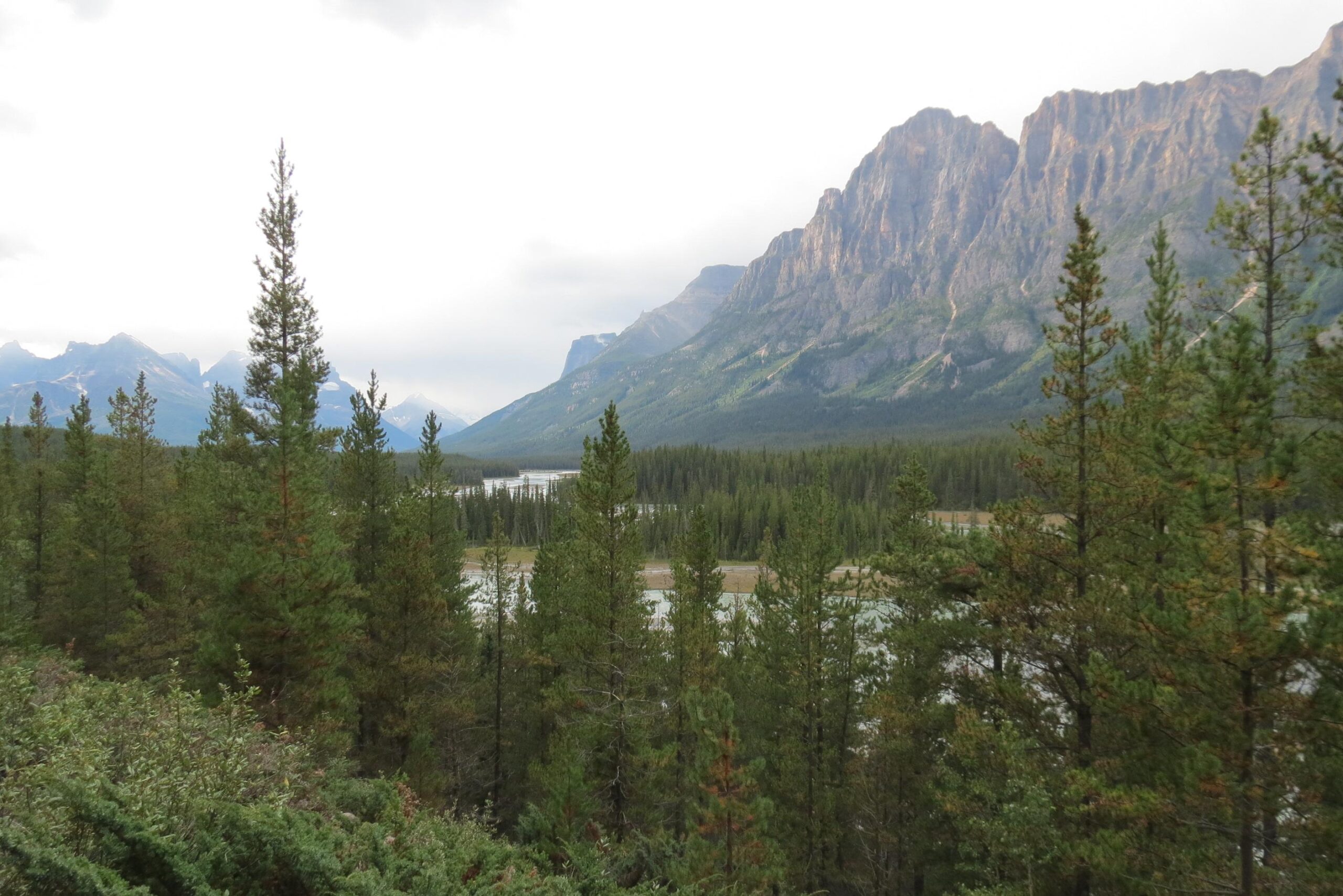 A scenic view of a mountainous landscape featuring dense evergreen trees in the foreground, with a river meandering through the valley. The backdrop includes towering mountains under a cloudy sky, showcasing the natural beauty of a wilderness area. Big Bend (Trail #126) mountain bike trail.