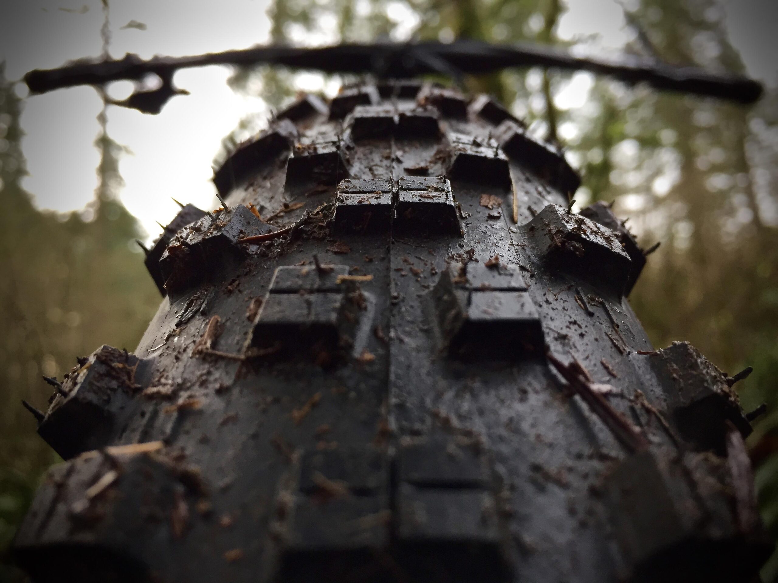 Norco Torrent 7: Close-up view of a muddy bicycle tire with knobby tread, surrounded by a blurred forest background. The tire shows signs of wear and dirt, indicating recent use on a trail.