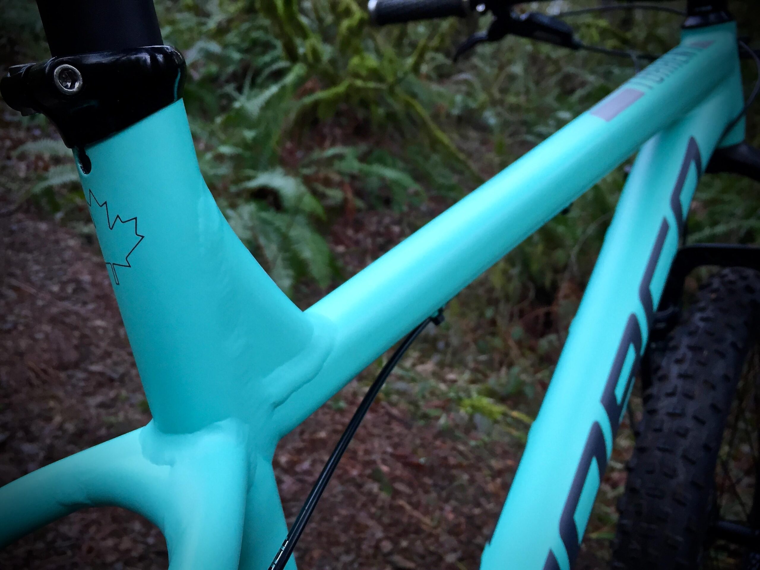 Norco Torrent 7: Close-up image of a turquoise bicycle frame featuring a maple leaf logo, set against a natural background with foliage. The focus is on the joints and detailing of the frame.