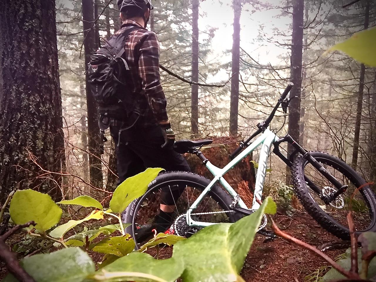 Norco Torrent 7: A mountain biker in a plaid shirt and helmet stands near a light blue mountain bike, surrounded by dense forest and fog. The bike is propped against a large tree stump, with green leaves and underbrush in the foreground.