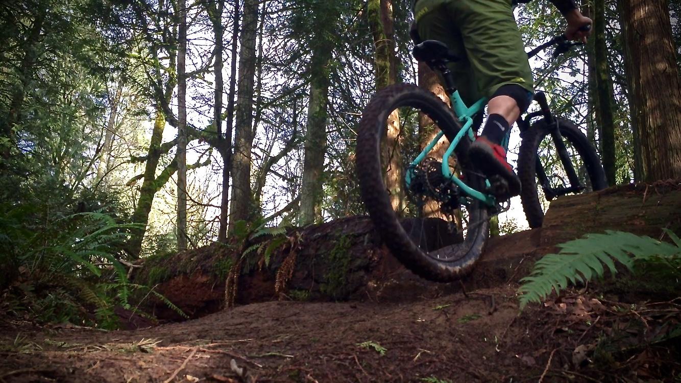 A mountain biker in green shorts ascends a dirt path, navigating over a fallen log in a forested area. Surrounding trees and ferns create a vibrant, natural backdrop, showcasing the action and adventure of mountain biking. Round Lake mountain bike trail.