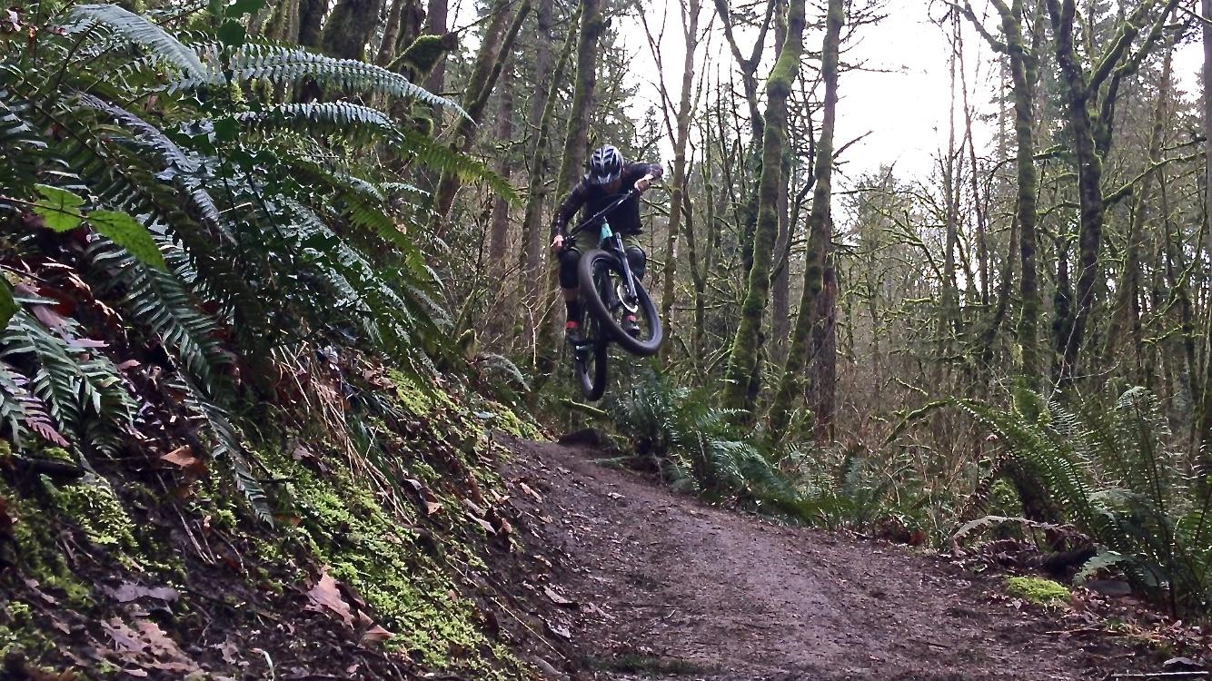 A mountain biker performing a jump on a dirt trail surrounded by lush green ferns and trees in a forested area. Round Lake mountain bike trail.