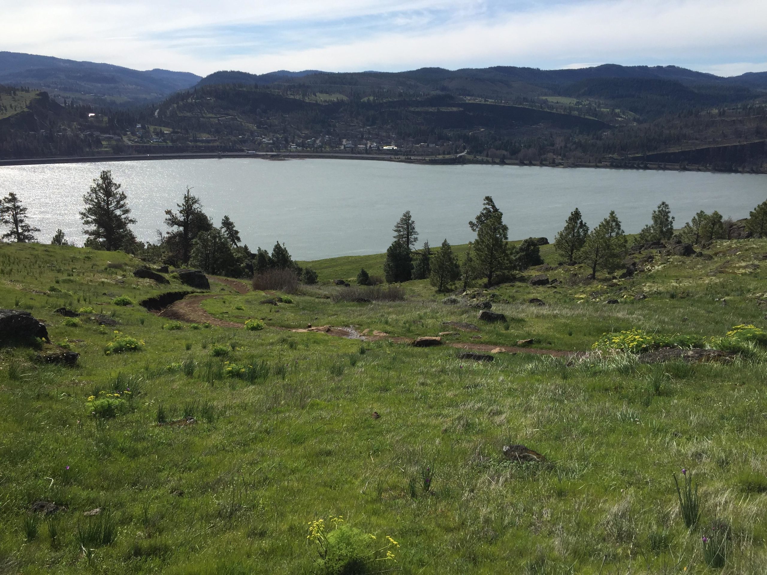 A scenic view of a calm lake surrounded by rolling green hills and trees, with distant mountains in the background under a clear blue sky. A winding path leads through the grassy landscape, creating a tranquil natural setting. Syncline mountain bike trail.