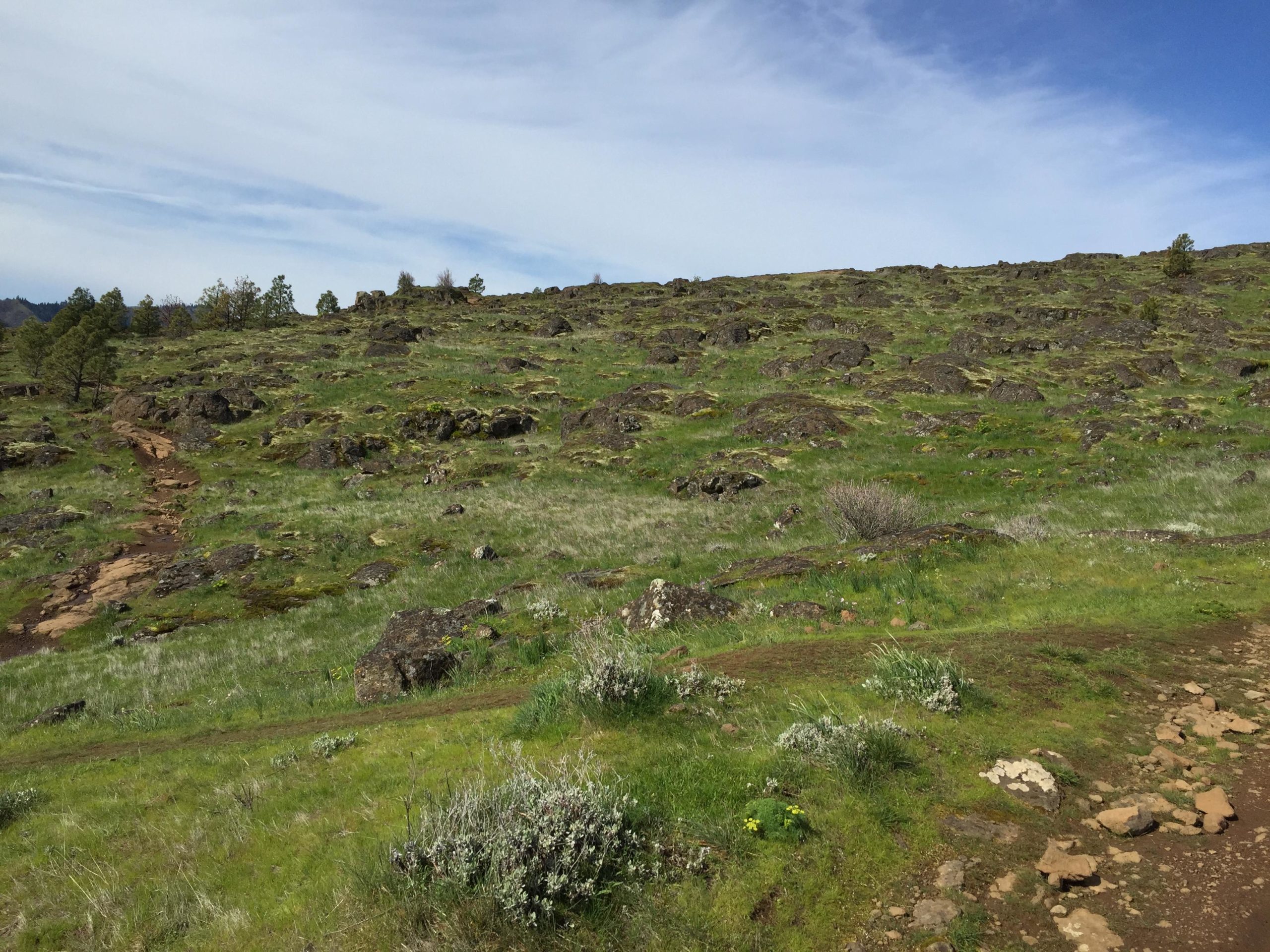 A rocky, grassy landscape with a winding dirt path leading through the terrain. The scene features green grass, scattered shrubs, and boulders under a partly cloudy sky. Syncline mountain bike trail.