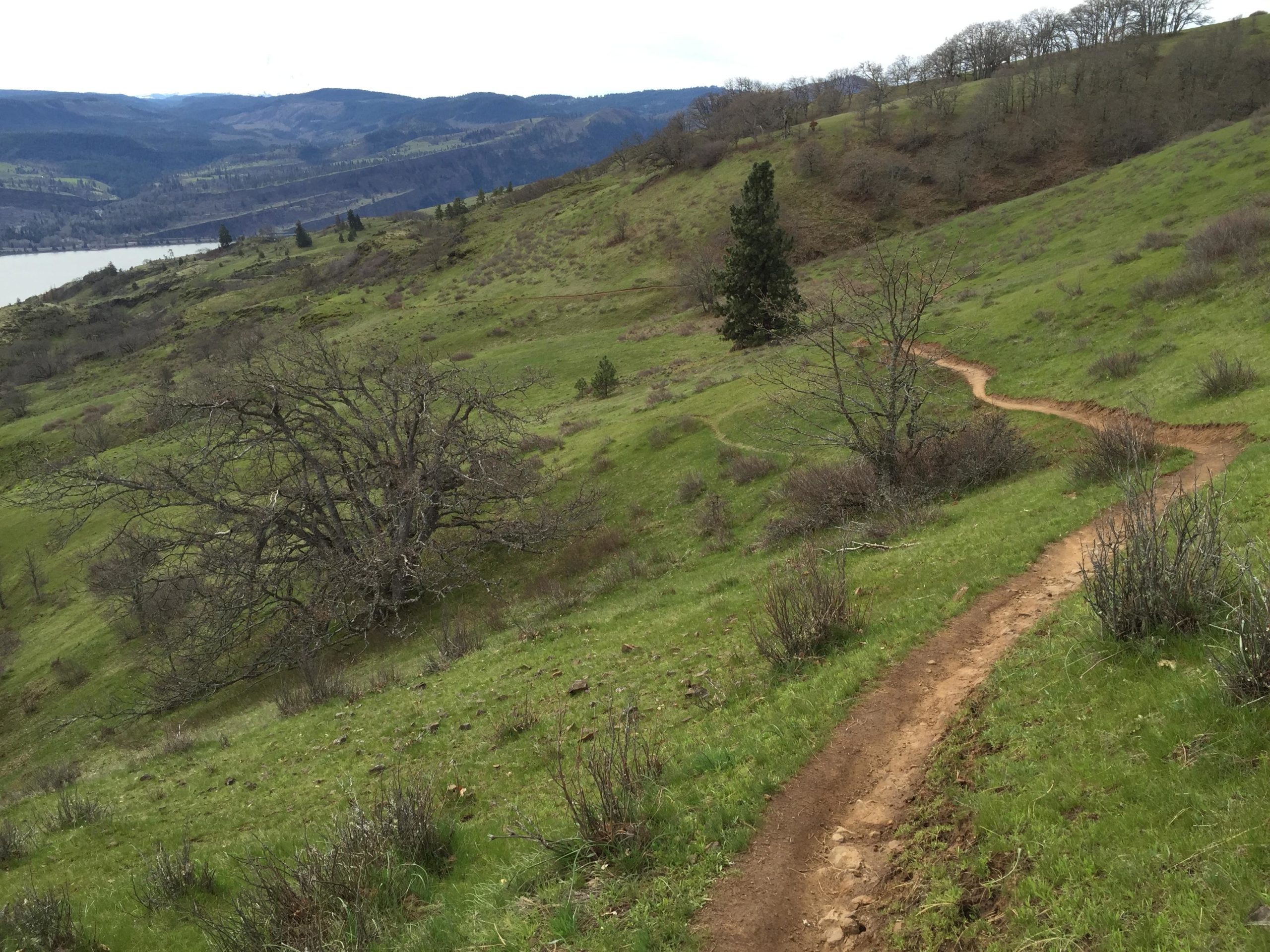 A winding dirt trail cuts through a lush green hillside, surrounded by sparse trees and shrubs. In the background, rolling hills and a river are visible under a cloudy sky. The scene reflects a tranquil natural landscape. Syncline mountain bike trail.