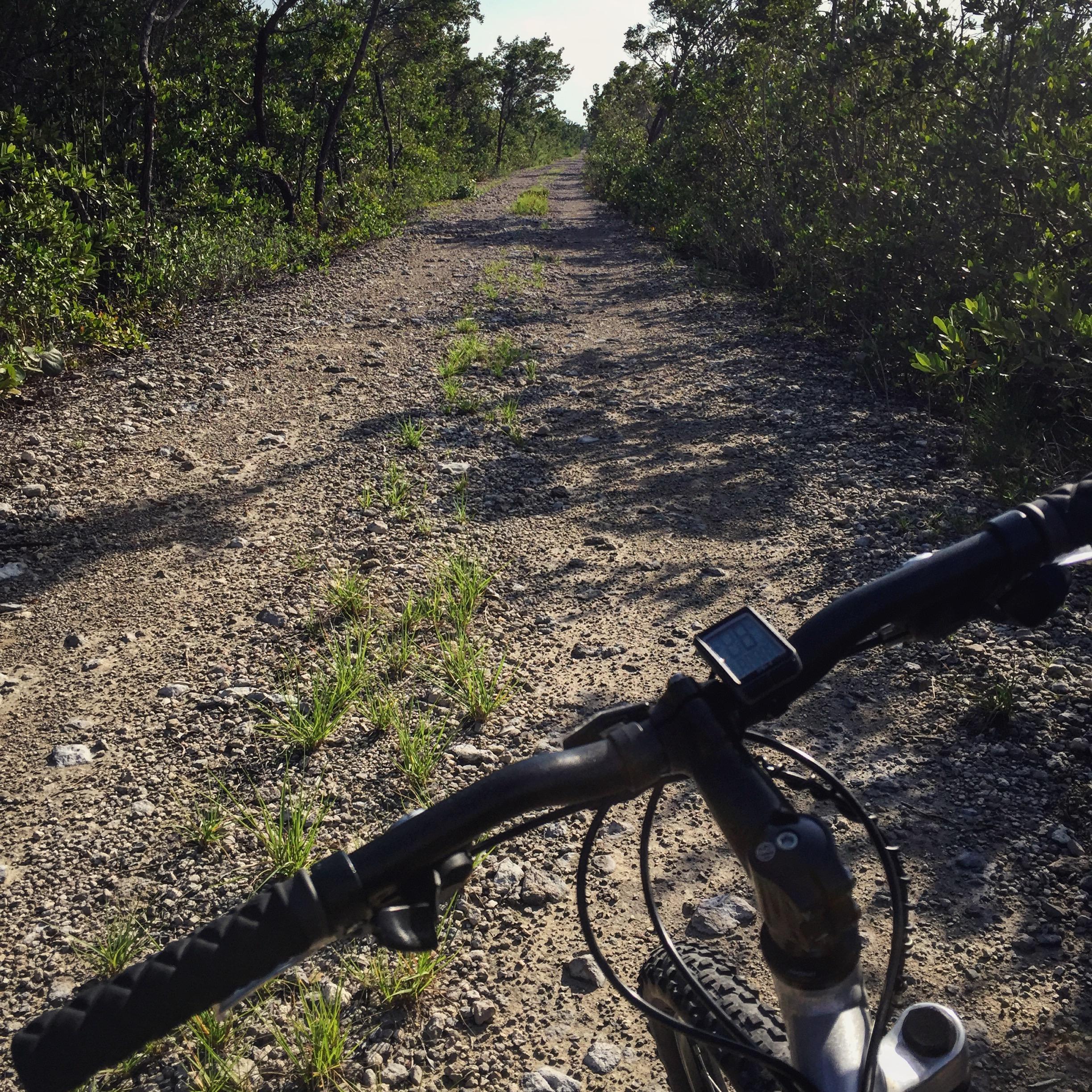 Gary Fisher Marlin: A mountain bike parked on a gravel path that winds through a natural landscape, surrounded by green foliage and sunlight. The handlebars and bike computer are visible in the foreground, emphasizing the outdoor cycling experience.