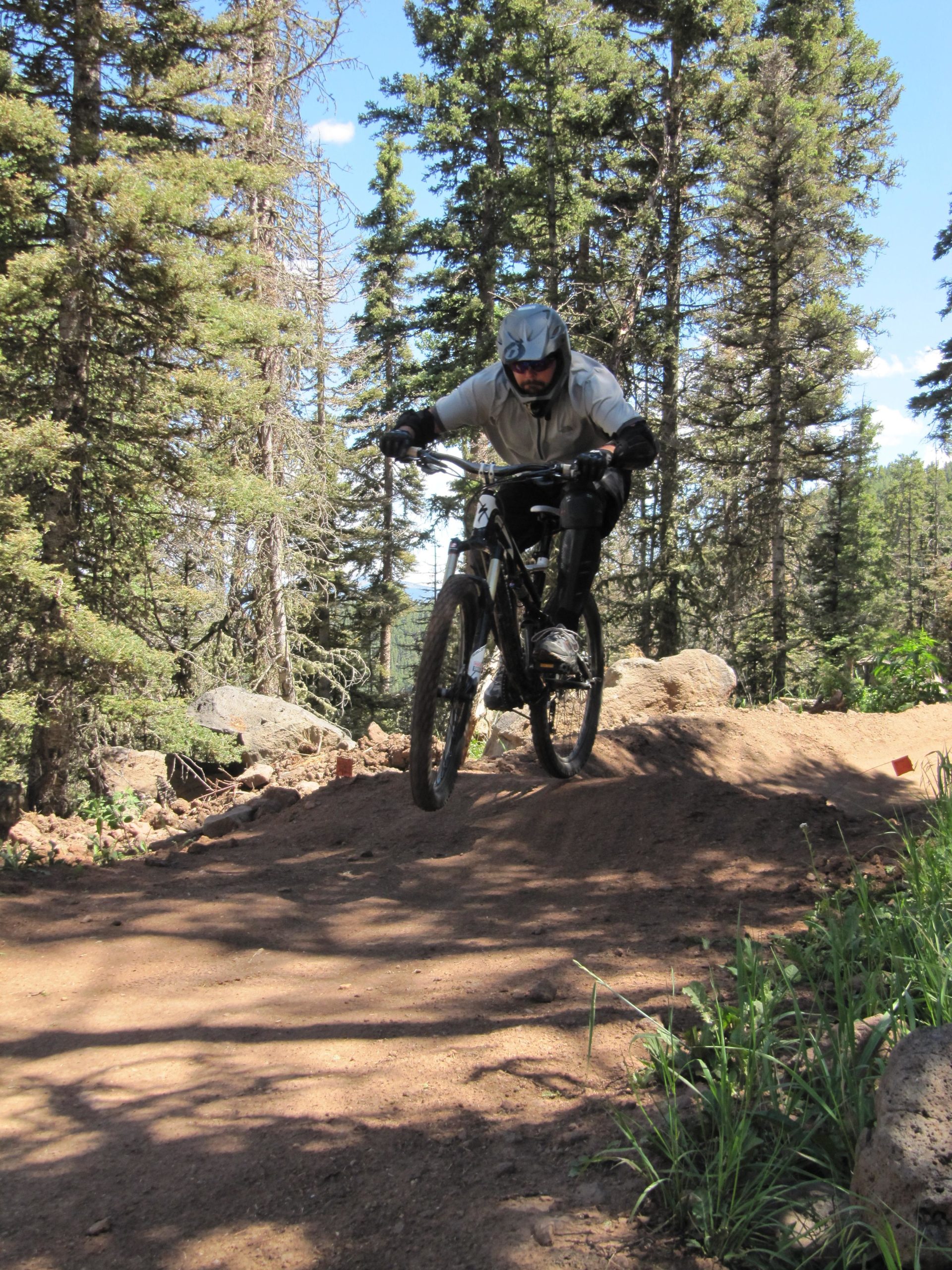 A mountain biker in protective gear rides downhill on a dirt trail surrounded by tall pine trees, captured mid-jump as he navigates a small hill on the path. Angel Fire Bike Park mountain bike trail.
