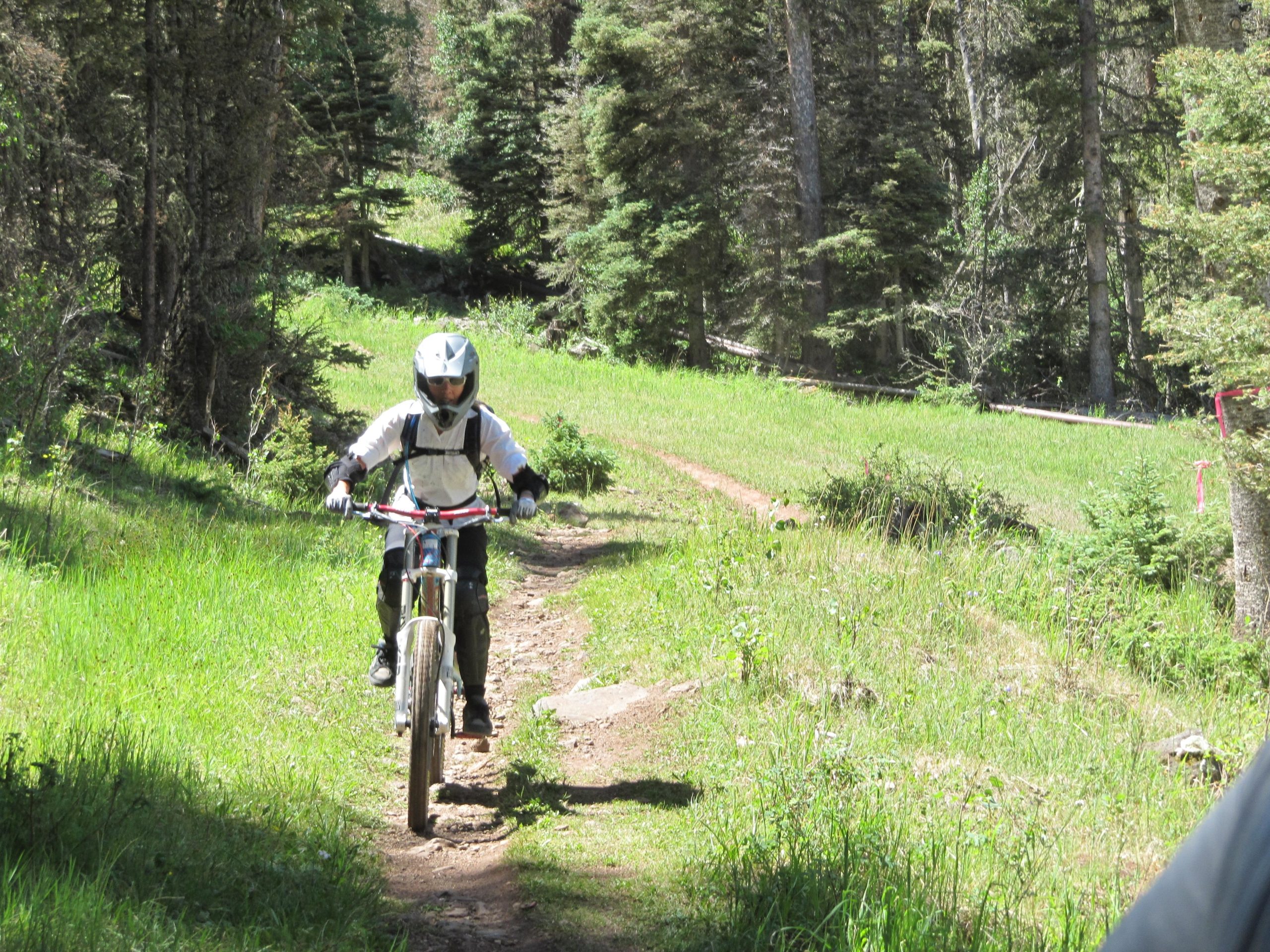 A mountain biker in protective gear rides along a rocky trail surrounded by lush green grass and tall trees in a forested area. Sunlight filters through the trees, highlighting the scenic outdoors. Angel Fire Bike Park mountain bike trail.