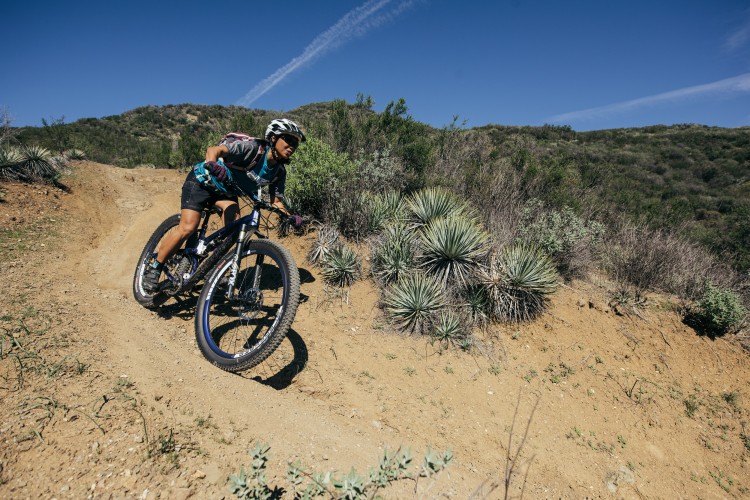 A person riding a mountain bike on a dirt trail, leaning into a turn. The surrounding landscape features green shrubs and spiky plants under a clear blue sky.