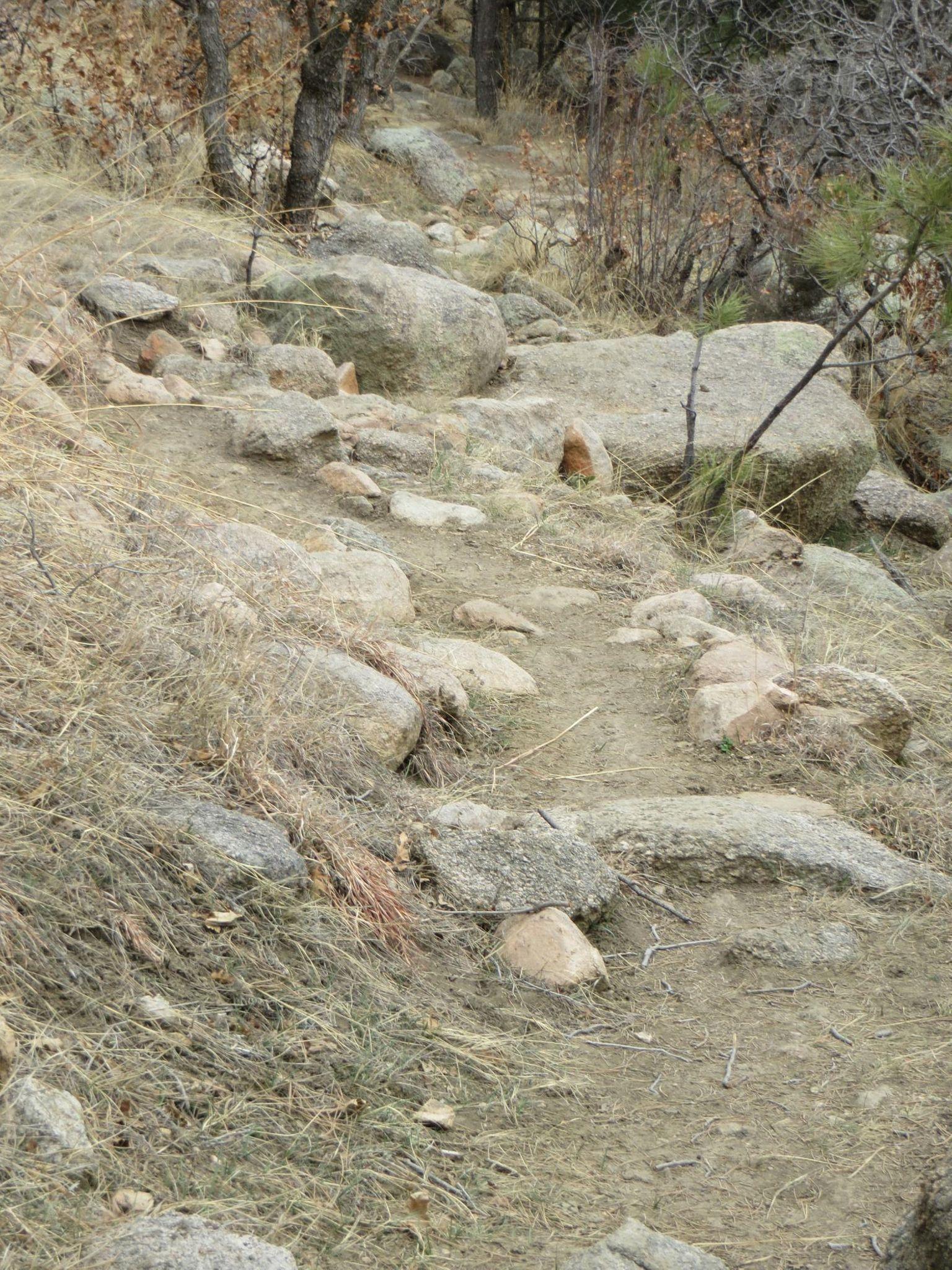 A narrow, rocky hiking trail winding through a nature setting, surrounded by dry grass, scattered rocks, and sparse trees. The path is marked by uneven terrain, suggesting a natural and rugged outdoor experience. Cheyenne Mountain State Park mountain bike trail.
